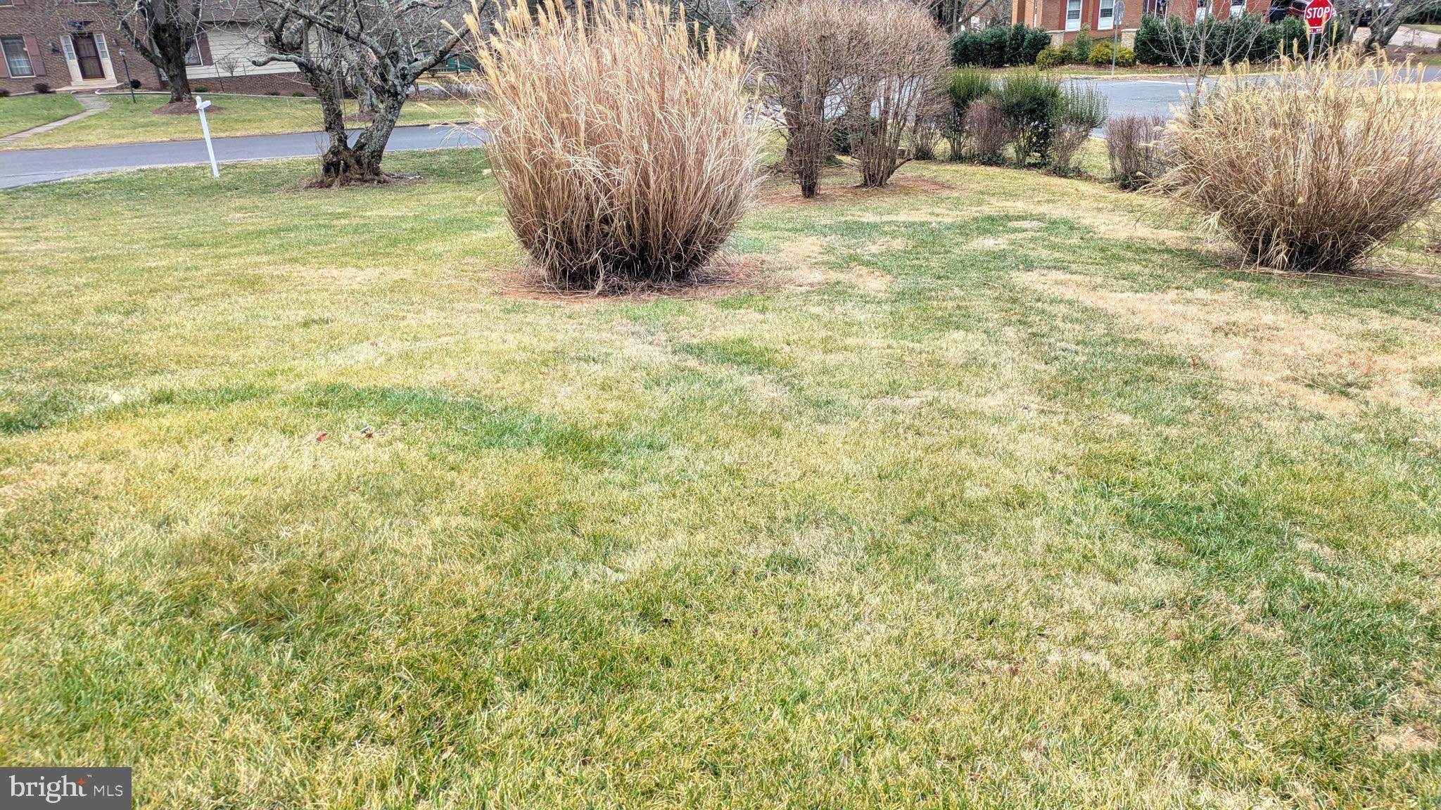 WILLIAMSBURG VILLAGE - Residential