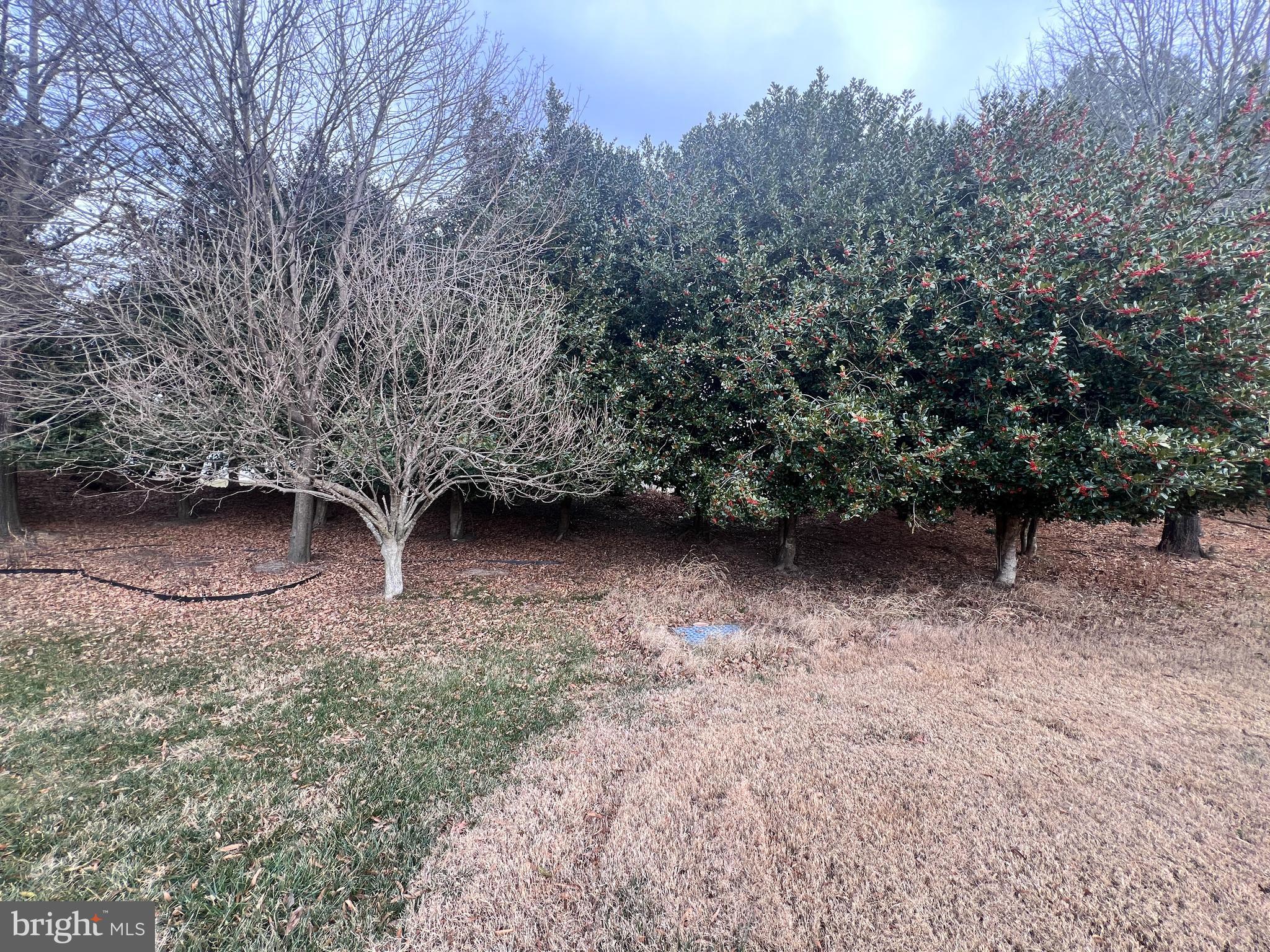 WATERFORD COVE-PLAT 1> - Land