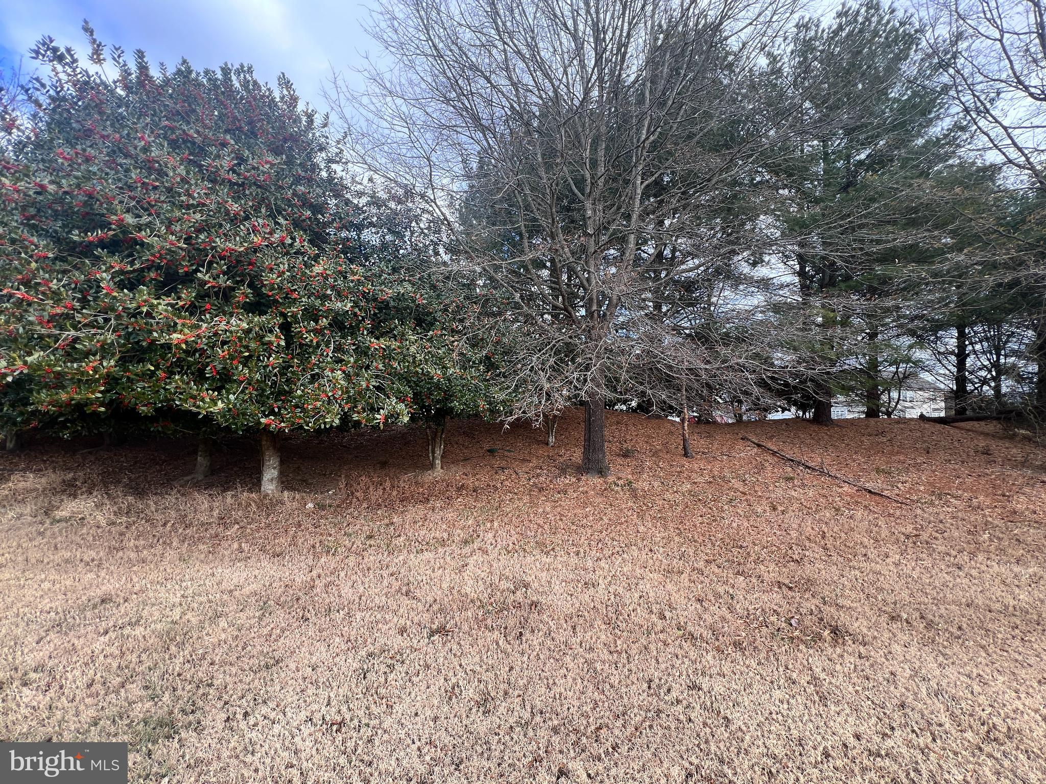 WATERFORD COVE-PLAT 1> - Land