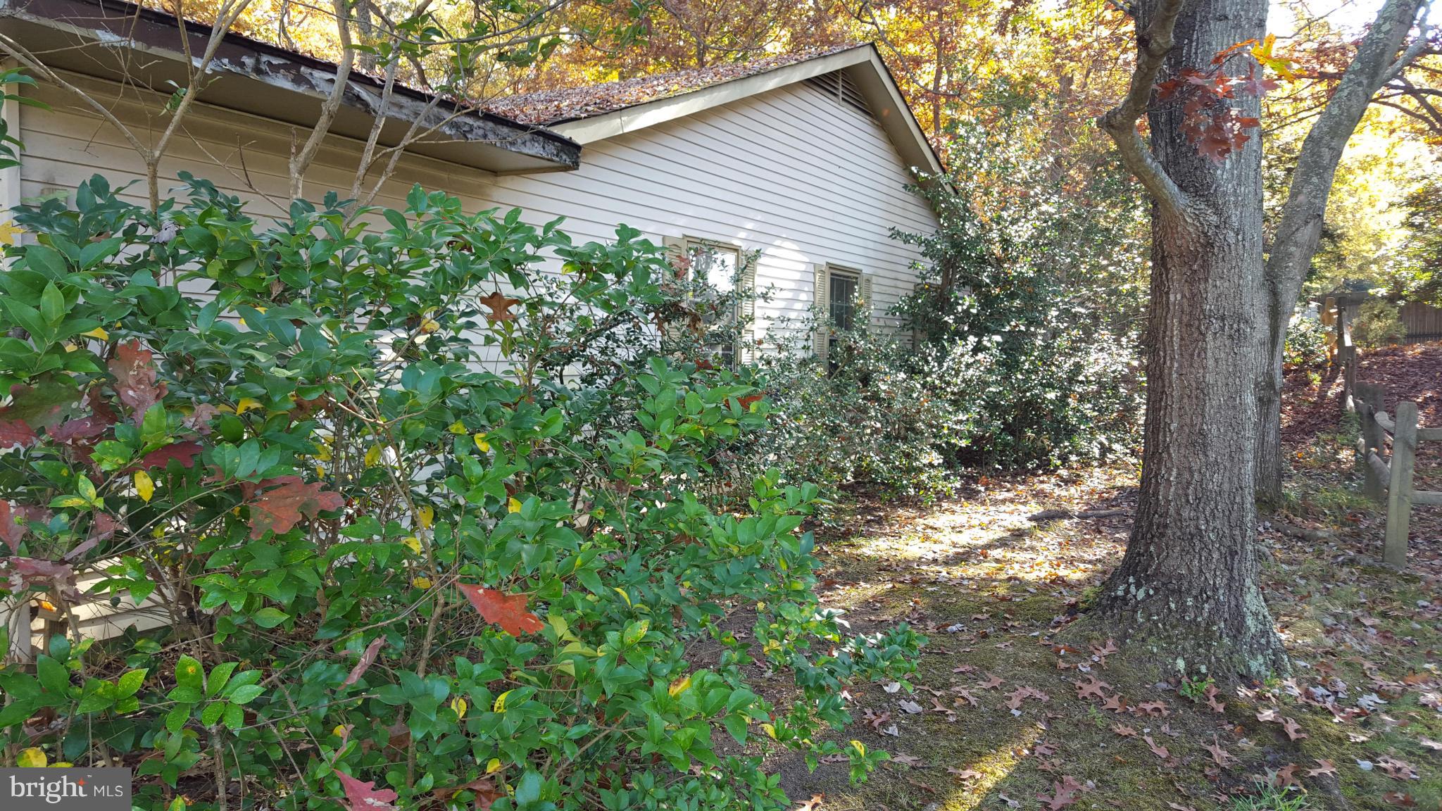 WAVERLY VILLAGE - Residential