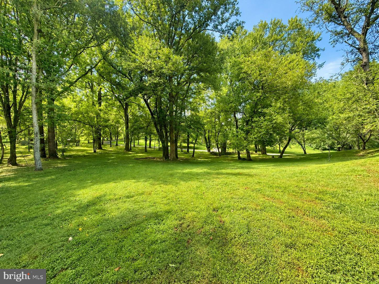 1646 WOODSTOCK ROAD