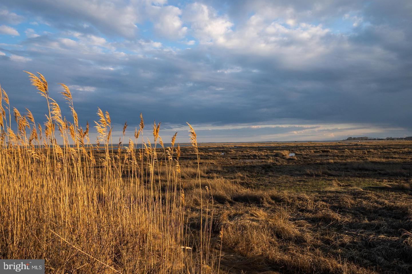 SNUG HARBOR - Residential