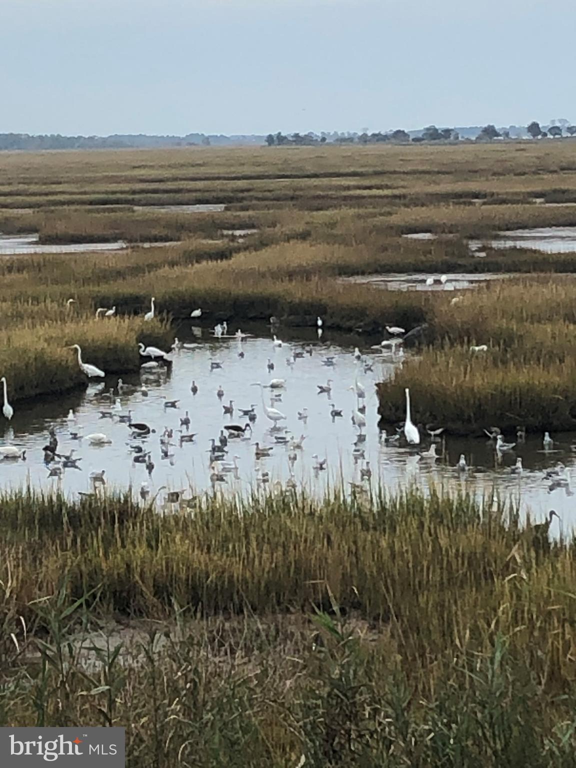 SNUG HARBOR - Residential