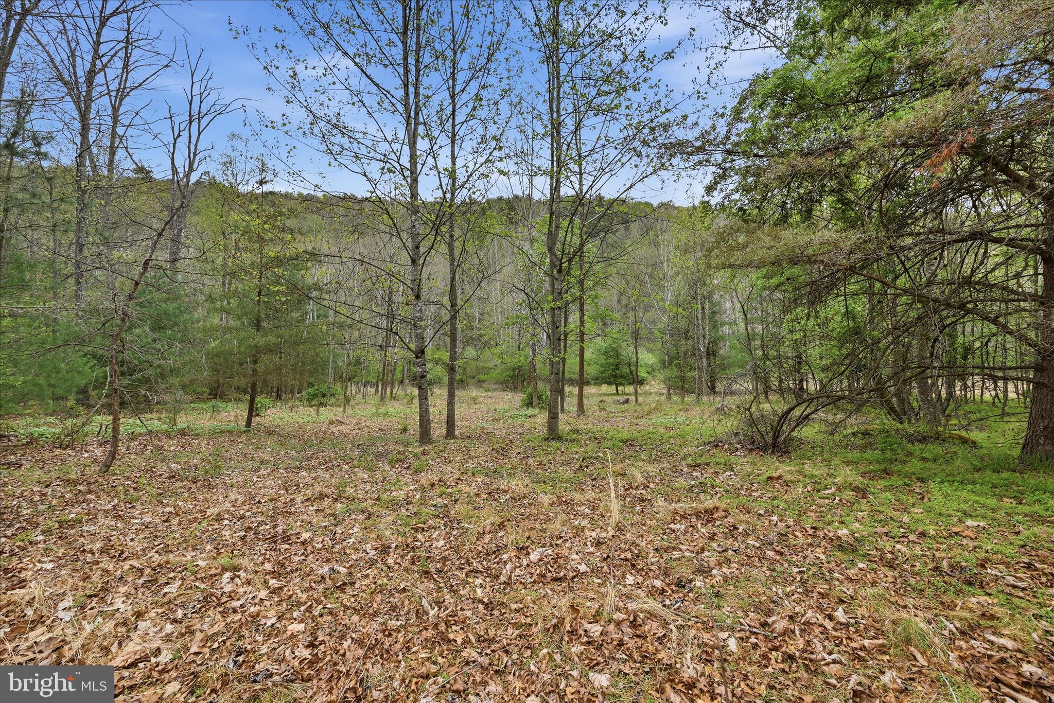 RITTERS HIDDEN VALLEY ESTATES - Residential