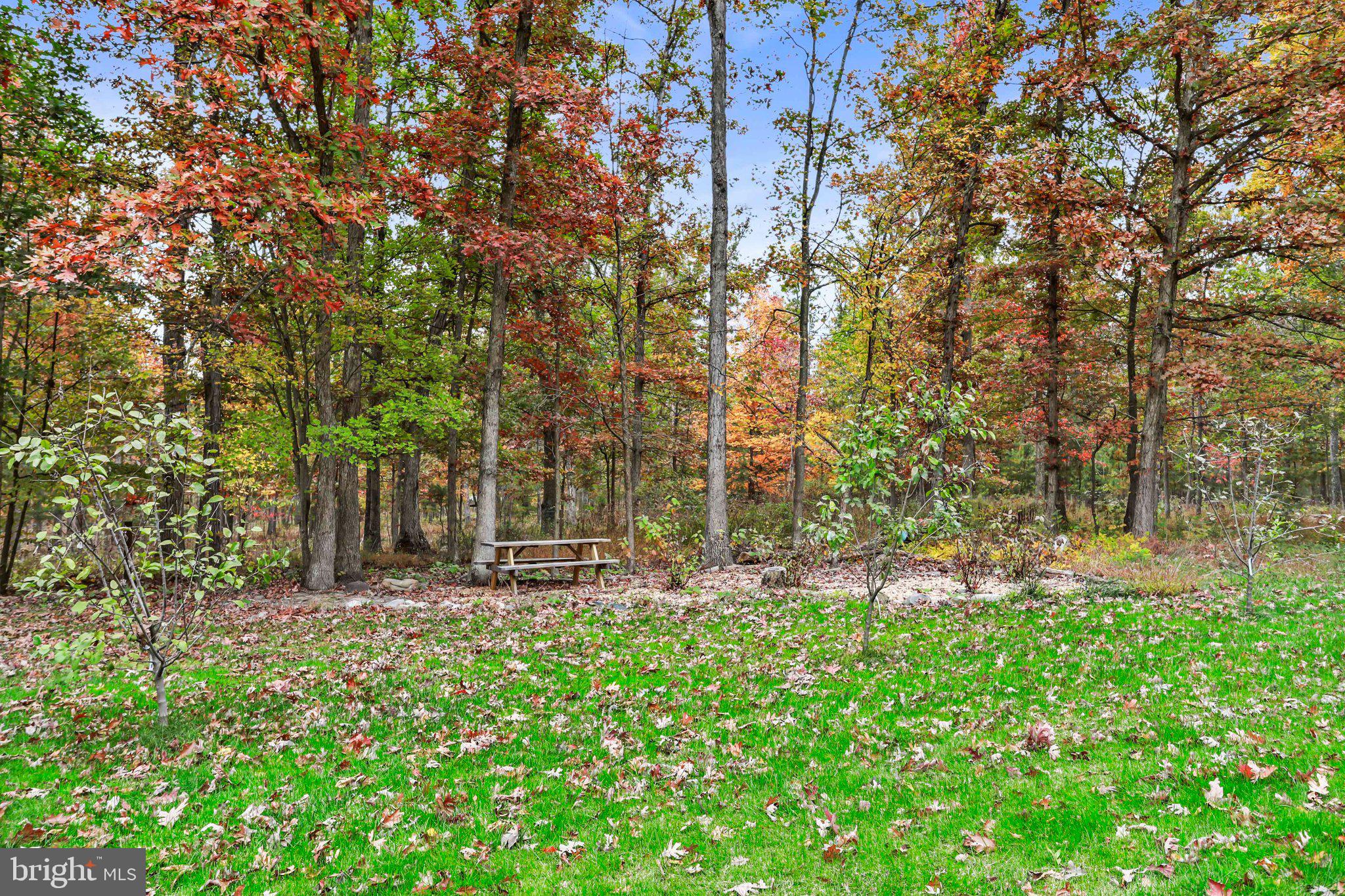 BERKELEY SPRINGS - Residential