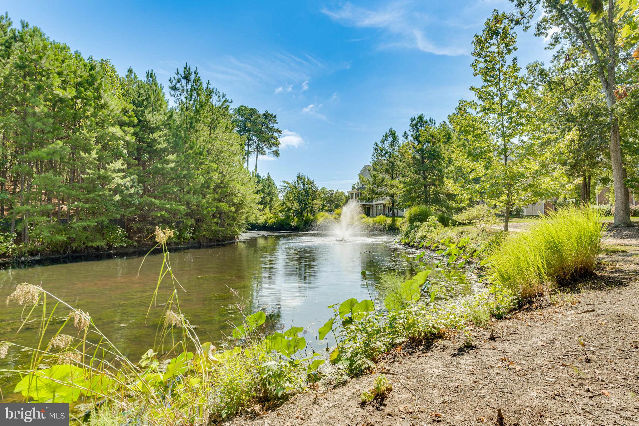 OYSTER BAY CONDOMINIUMS - Residential