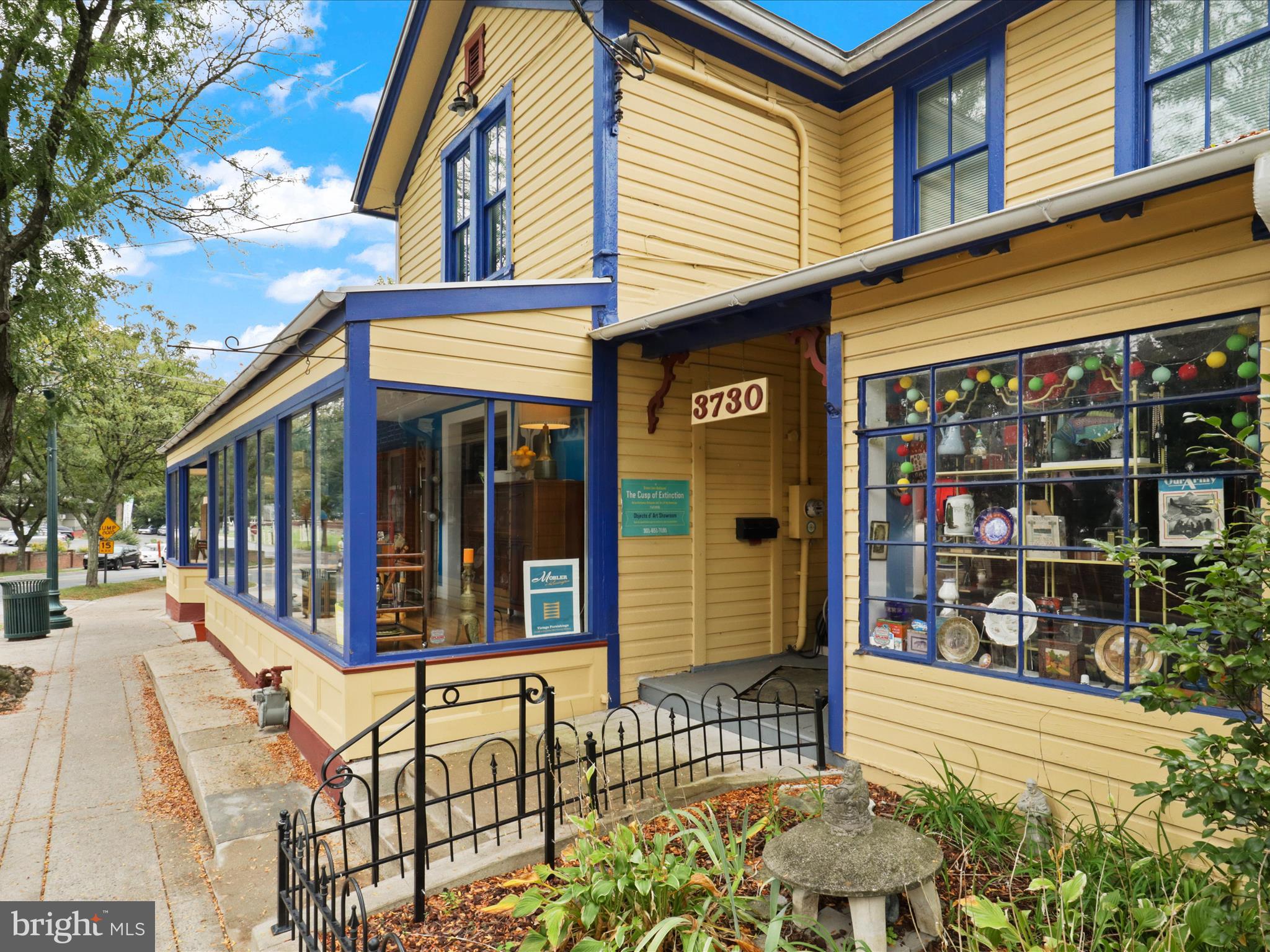 CHEVY CHASE VIEW - Residential