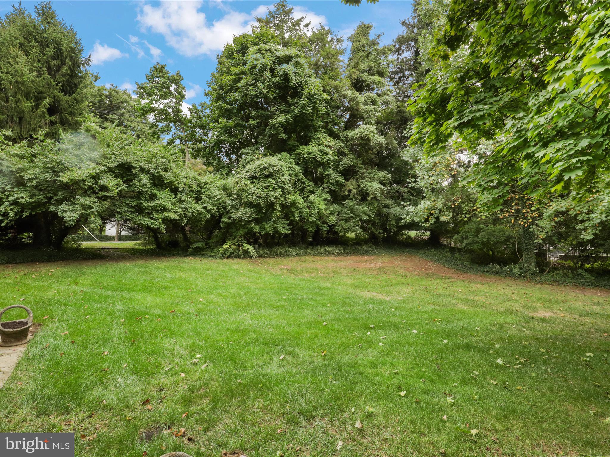 CHEVY CHASE VIEW - Residential