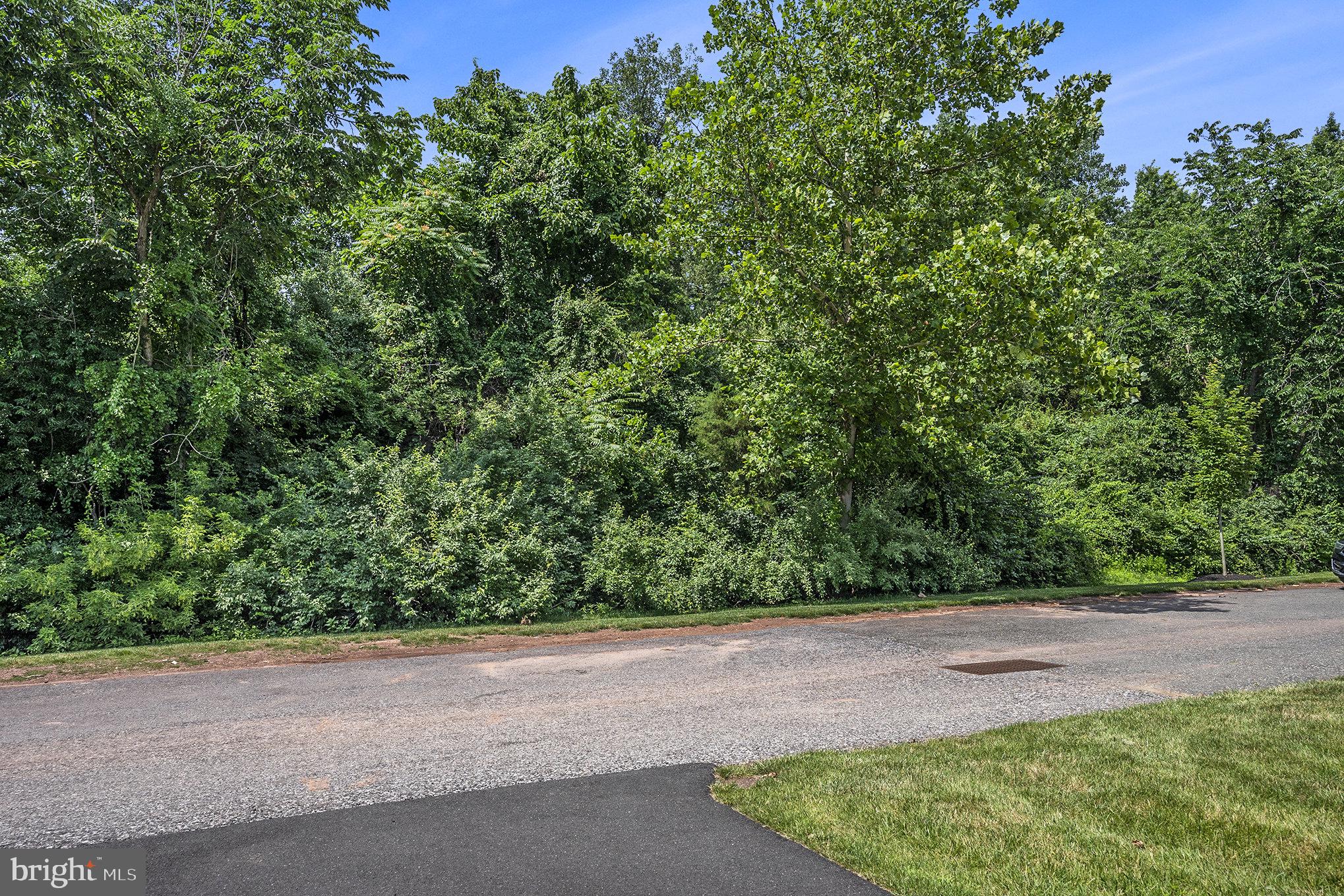 STEELPOINTE - Residential