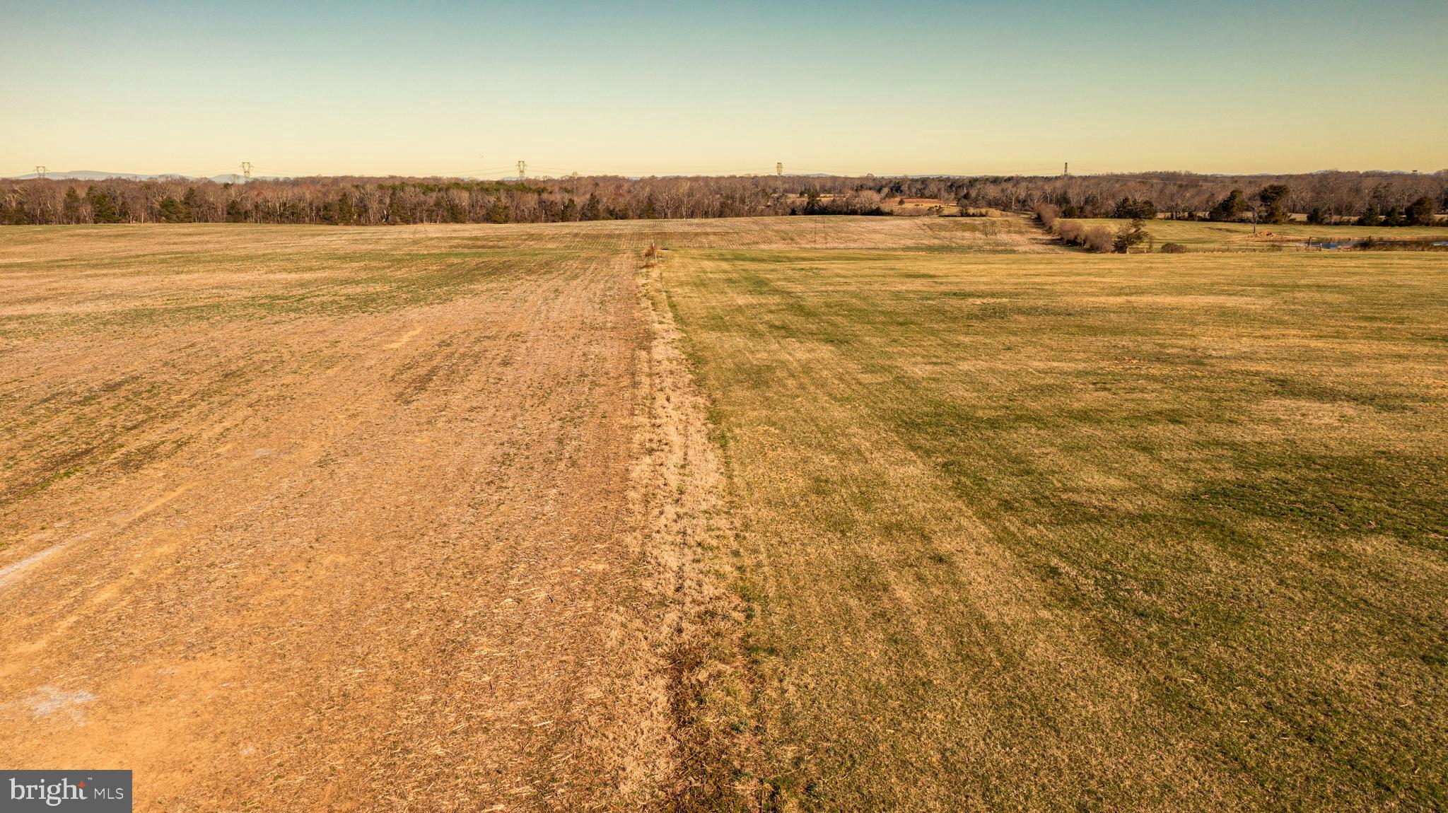 NONE AVAILABLE - Farm