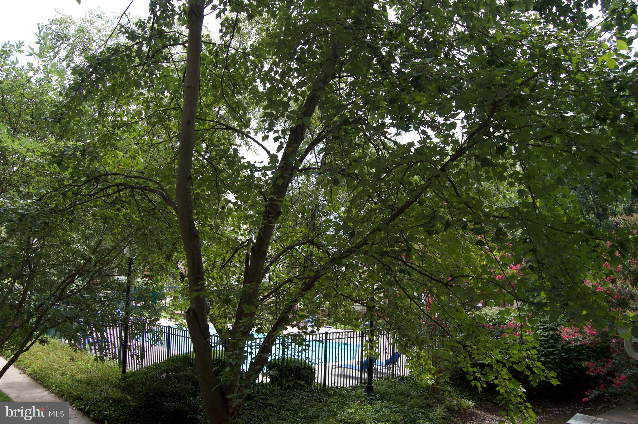 WORLDGATE CONDO - Residential