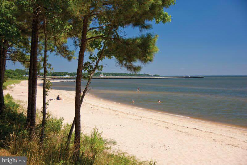 CEDAR COVE - Residential