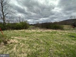 STONEY CREEK - .25/ACRE ALL LEVEL BUILDING LOT WITH NO RESTRICTIONS. (HARD SURFACE) FRONTAGE ON WOODROW ROAD & EAST WOODROW BRANCH ROAD. IF YOU’VE BEEN WAITING FOR THAT SPECIAL LOT THAT PRIVATE AND AWAY FROM THE NOISE OF THE CITY, IT’S HERE! YOU WON’T REGRET IT!