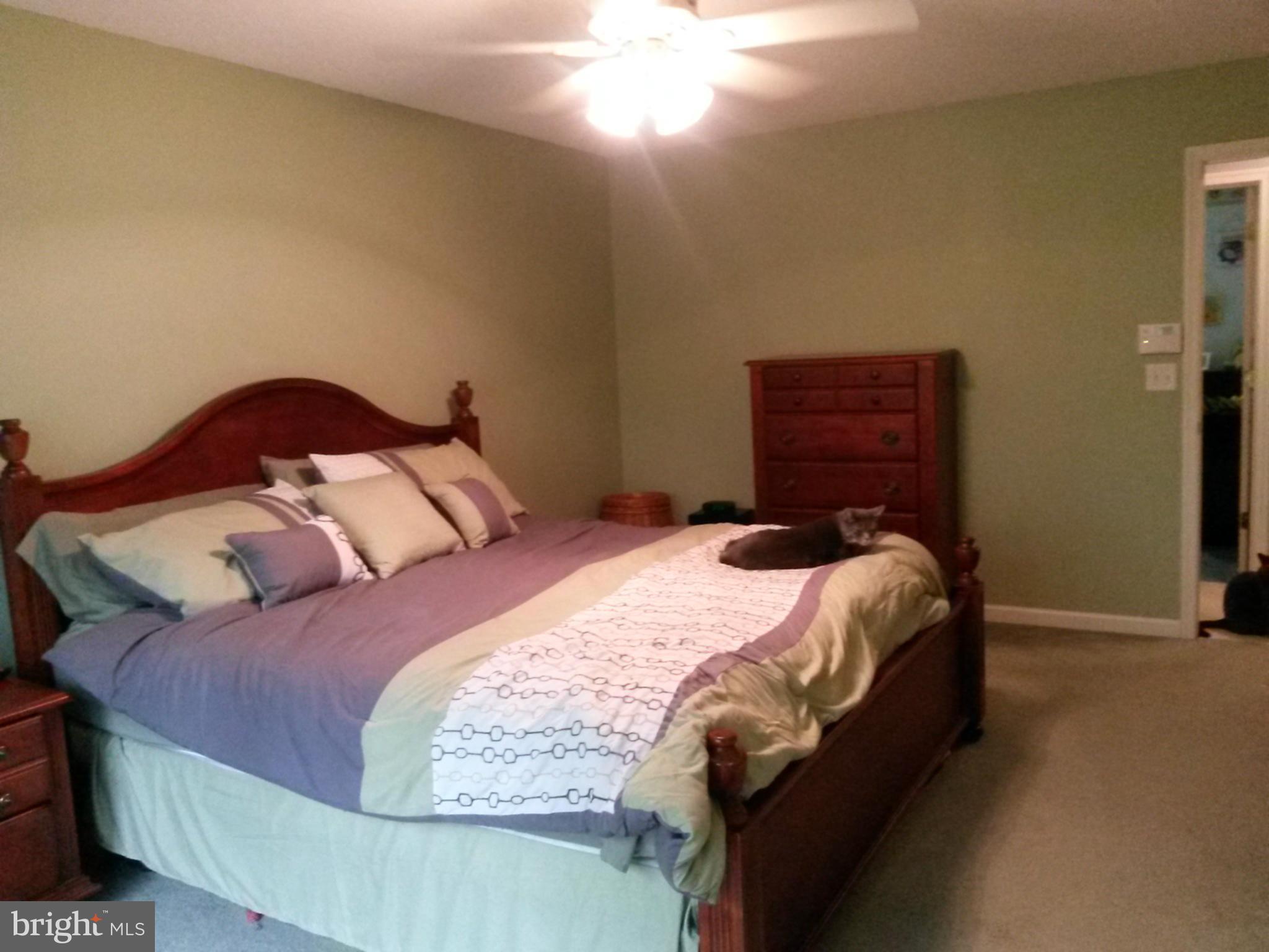 SHANNONDALE - Residential