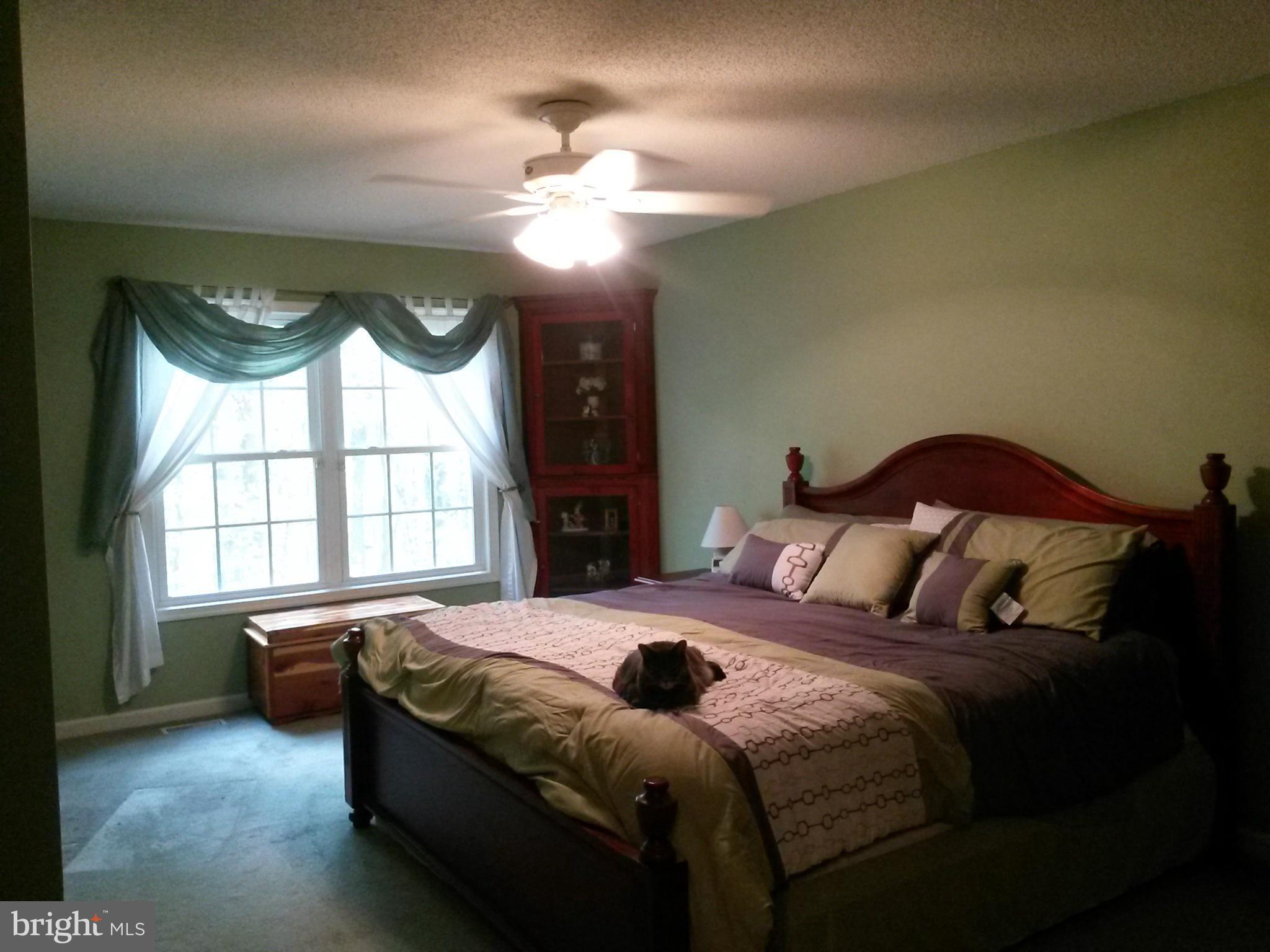 SHANNONDALE - Residential