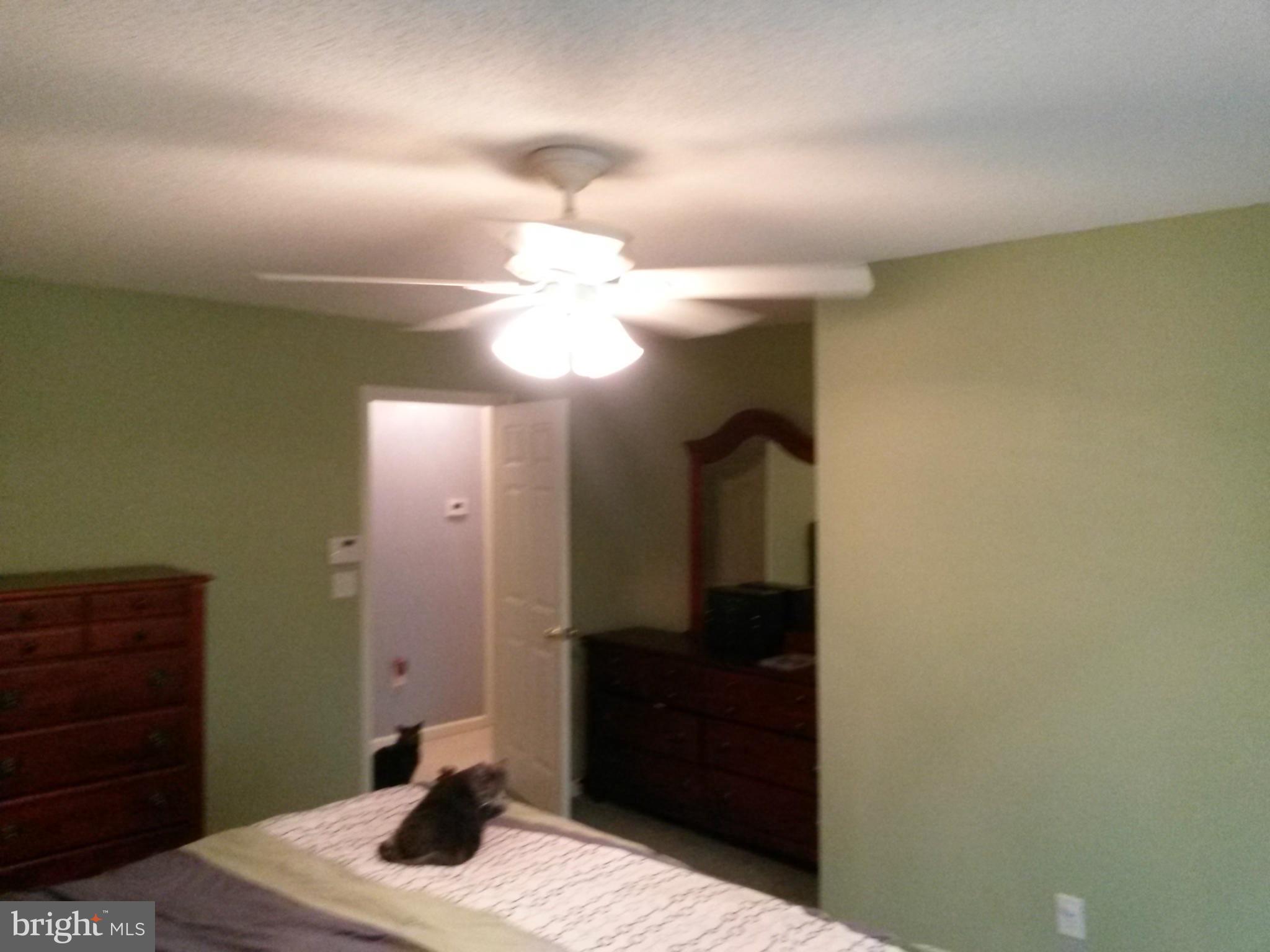 SHANNONDALE - Residential