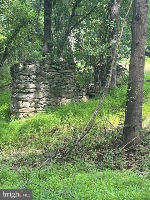 Vacant Land For Sale - Mount Nebo Church Road<br/> MARSHALL, VA 20115