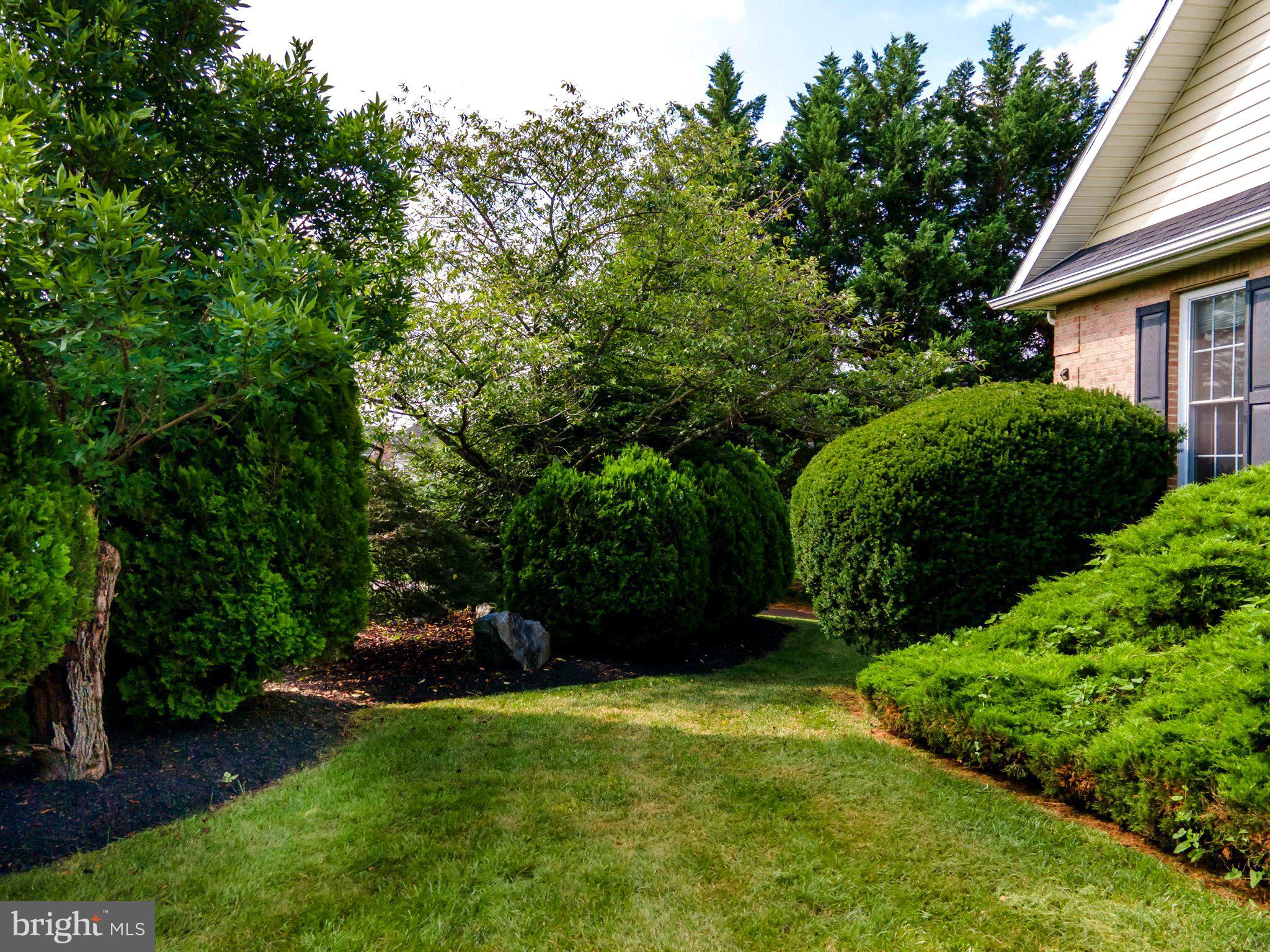 LOCUST HILL - Residential