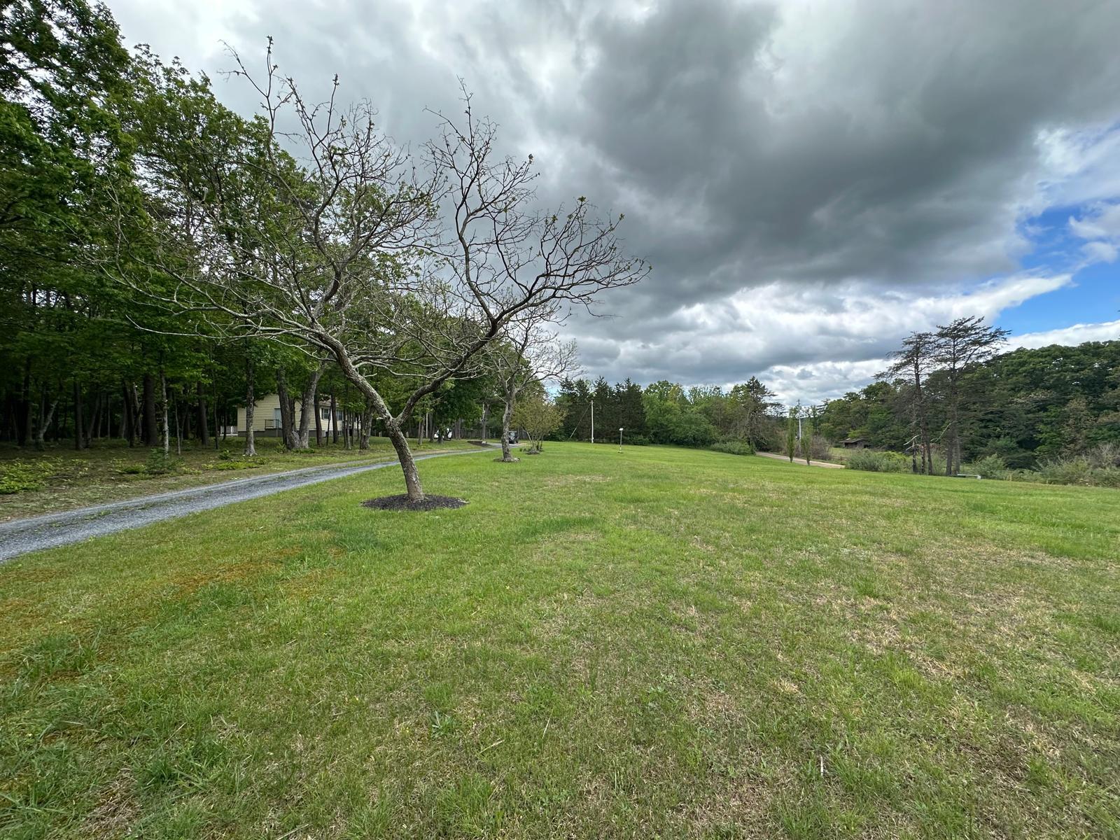 TIMBER RIDGE - Residential
