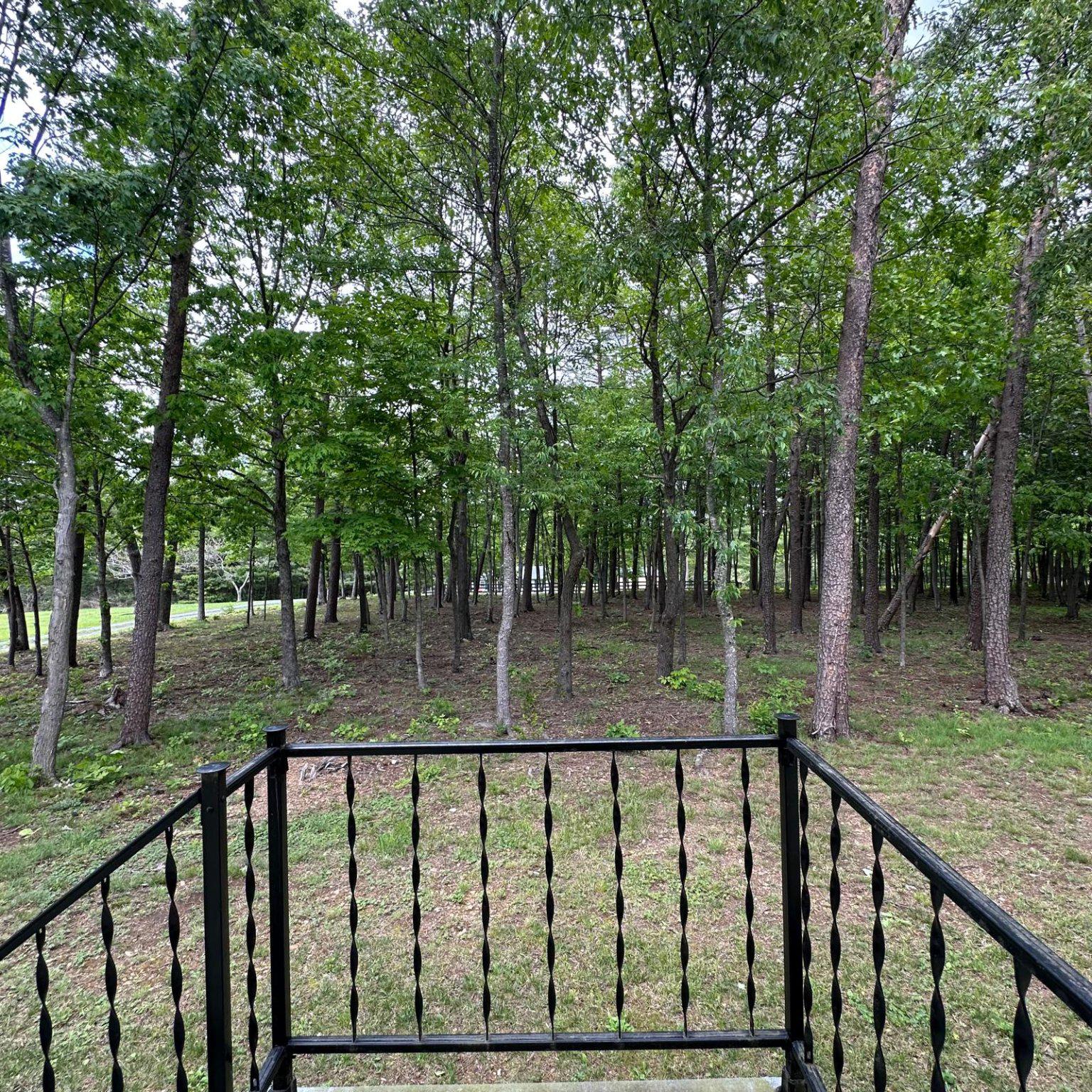 TIMBER RIDGE - Residential