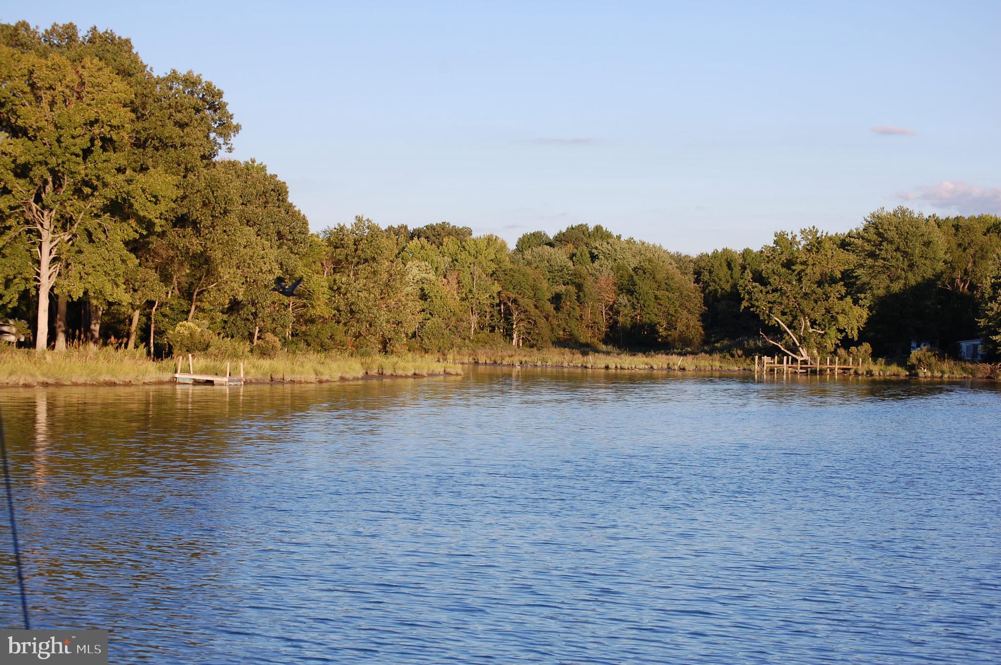 WHITE NECK CREEK - Residential