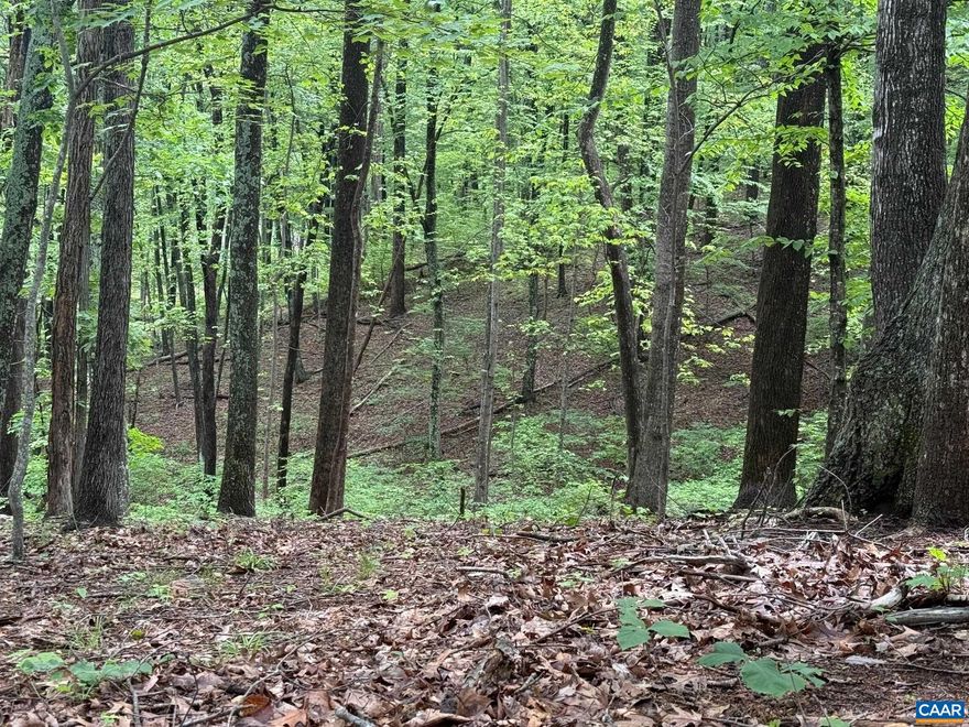 58 acres in North Garden with frontage on Rabbit Valley Road.  The property is mainly hardwoods with an elevated building site with a good interior, wooded view of the property.