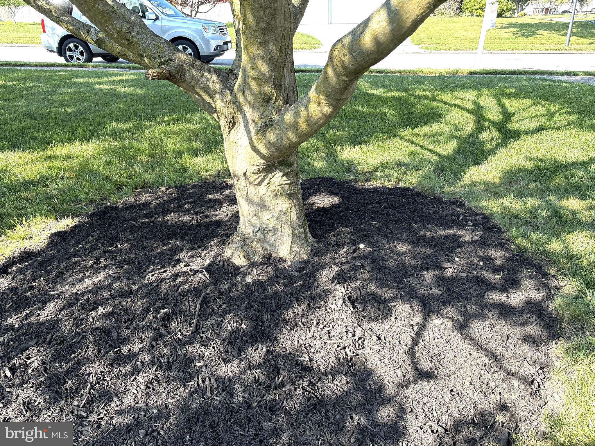 PARKWYNNE ESTATES - Residential