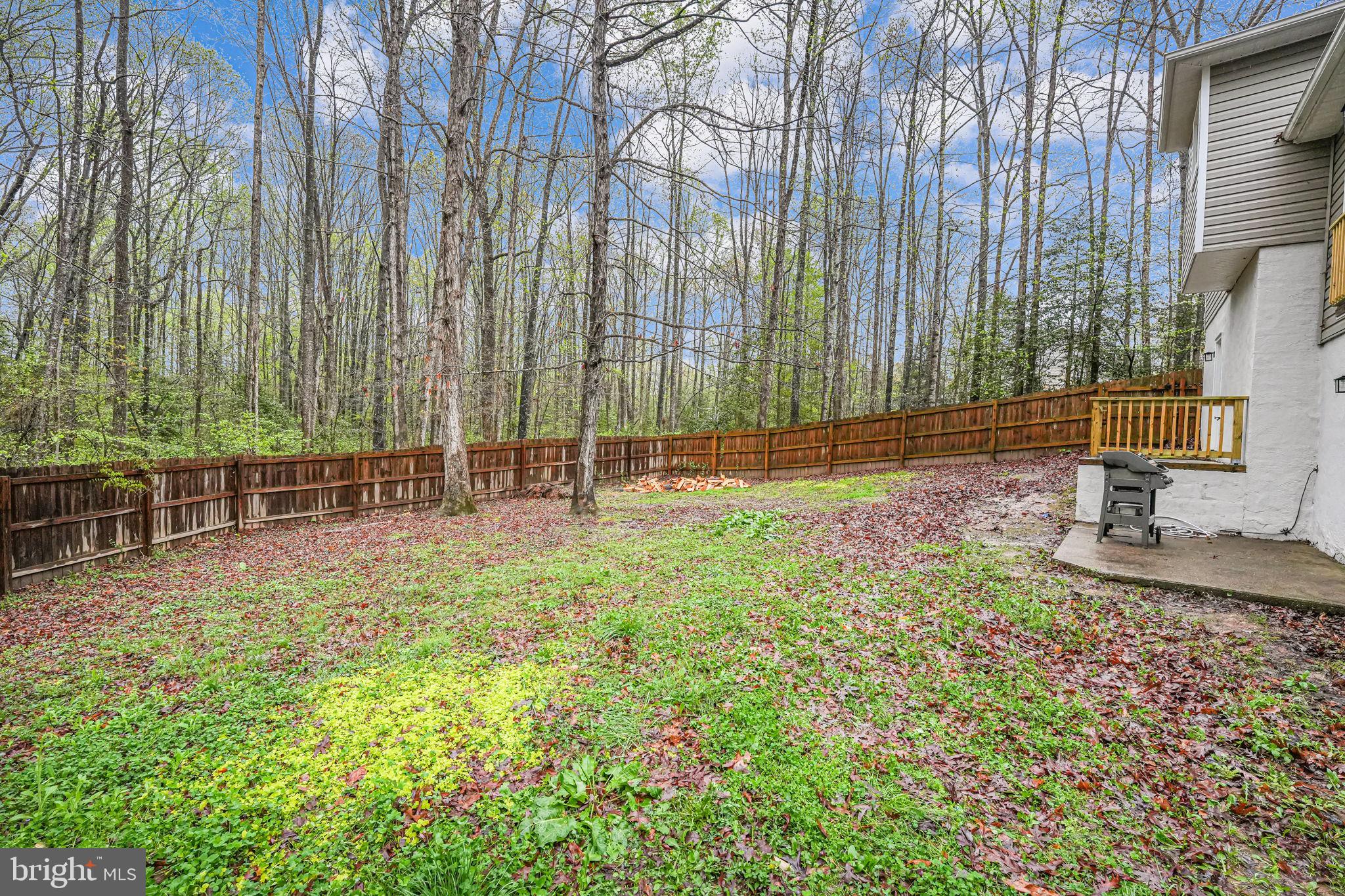 SHADE TREE - Residential