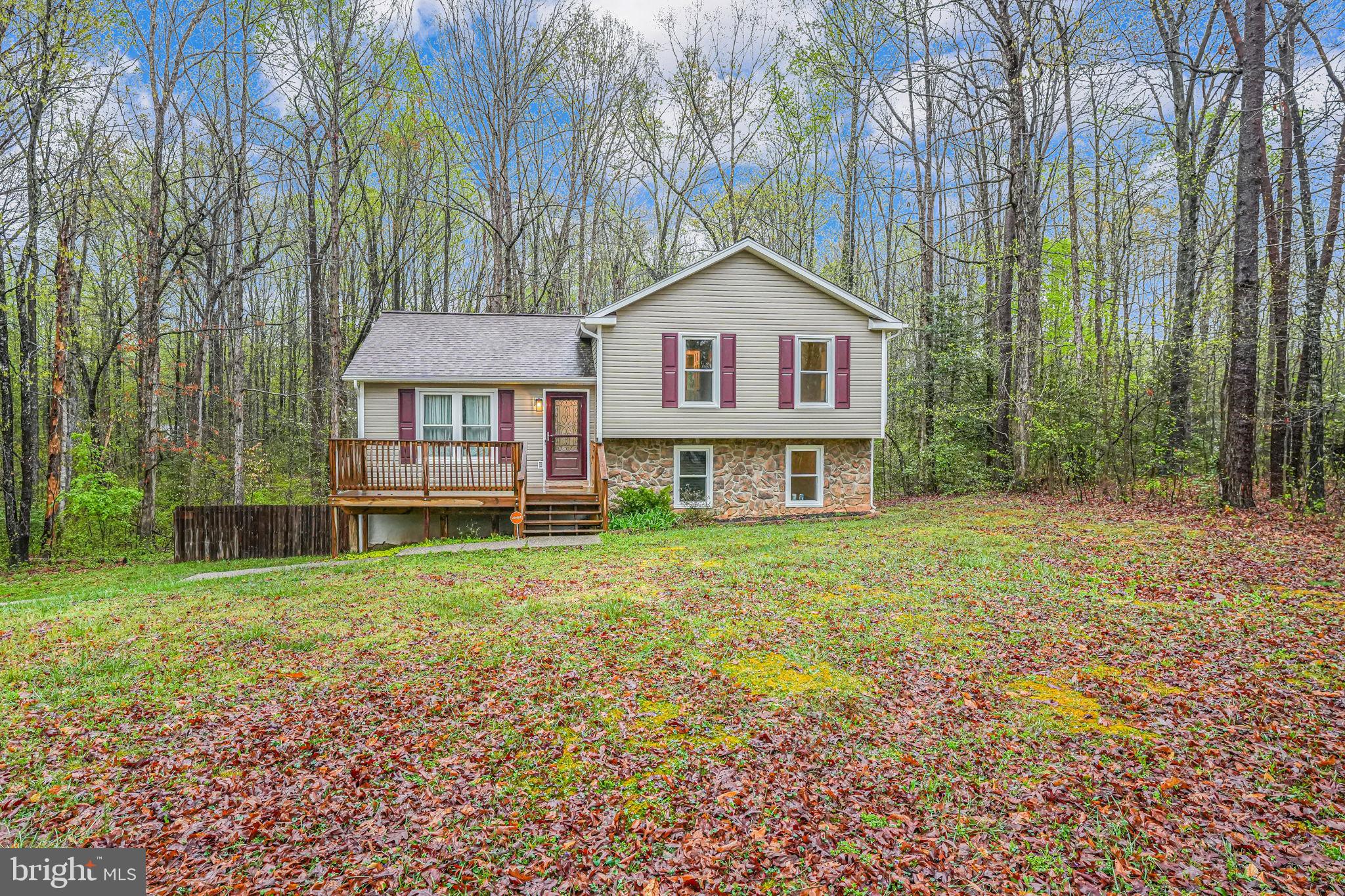 SHADE TREE - Residential