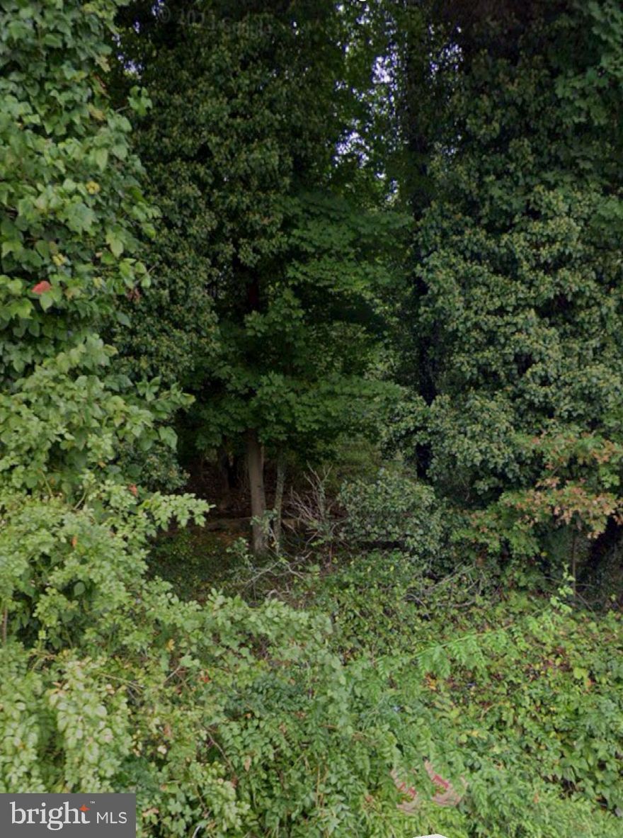 Discover the perfect canvas to bring your vision to life! This spacious and untouched parcel of raw land offers a unique opportunity for development, investment, or your dream home build. Nestled in a tranquil setting, this property provides a rare blend of privacy, natural beauty, and accessibility.

Key Features:

Generous Lot Size: Ample space for residential or recreational use
Untouched Terrain: Blank slate for custom development or land banking
Natural Surroundings: Mature trees, open meadows, and wide skies
Ideal Location: Convenient access to main roads, local towns, and essential services
Flexible Use Potential: Residential, homestead,  or retreat possibilities (subject to zoning)
Whether you’re a builder, investor, or someone looking for a peaceful escape, this parcel holds exceptional promise. With no existing structures, utilities, or restrictions (buyer to verify all information), the possibilities are only limited by your imagination.

Don’t miss this rare opportunity to own raw land and shape your own future! 
Legal address is 309 Rollins Ave, Capitol Heights, MD 20743