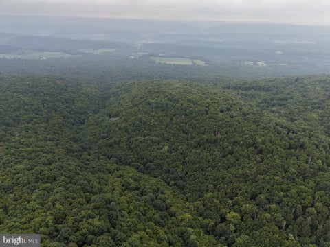 Photo for 95+/- ACRES LAUREL MOUNTAIN RD