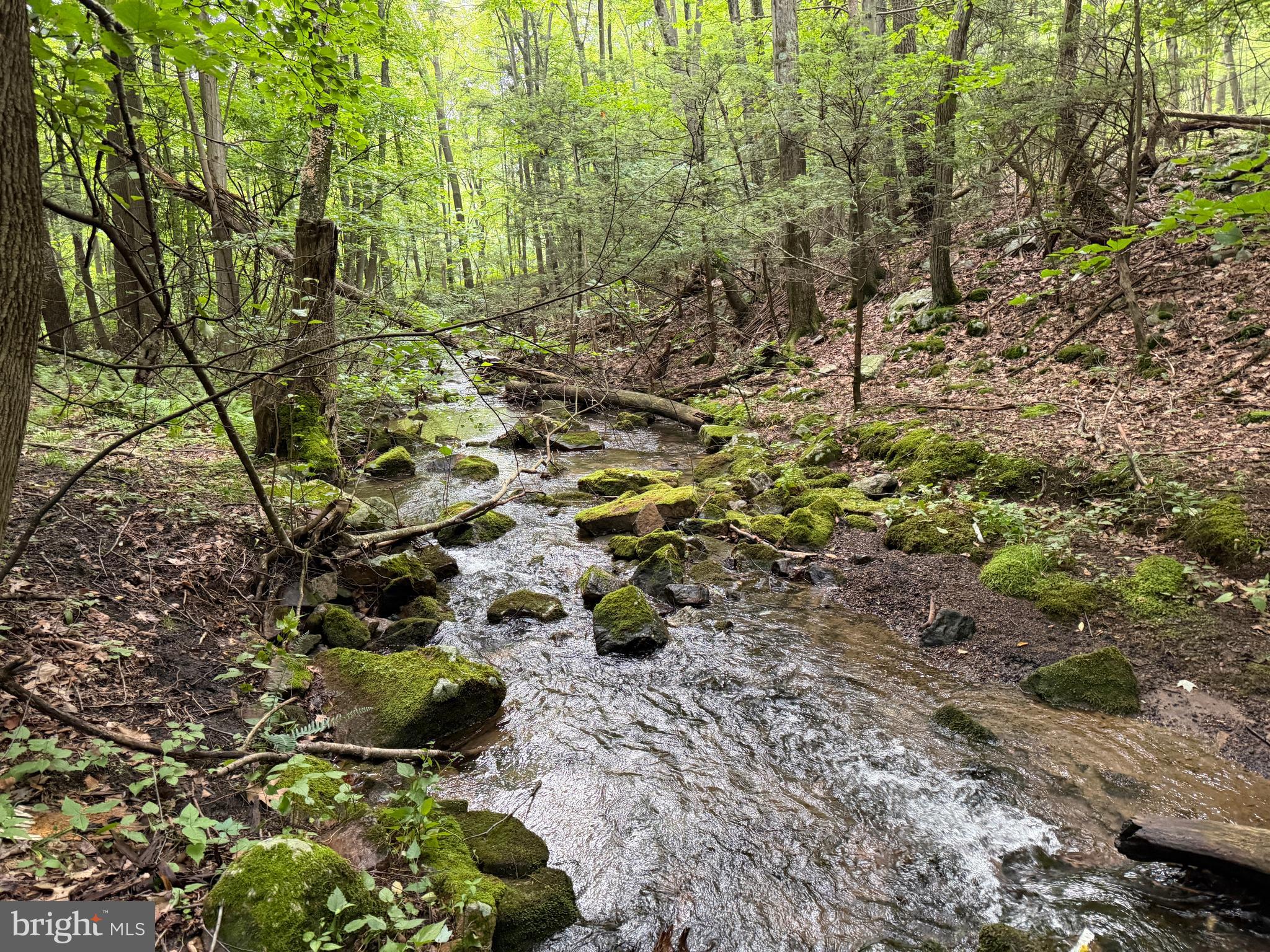 95+/- ACRES LAUREL MOUNTAIN RD