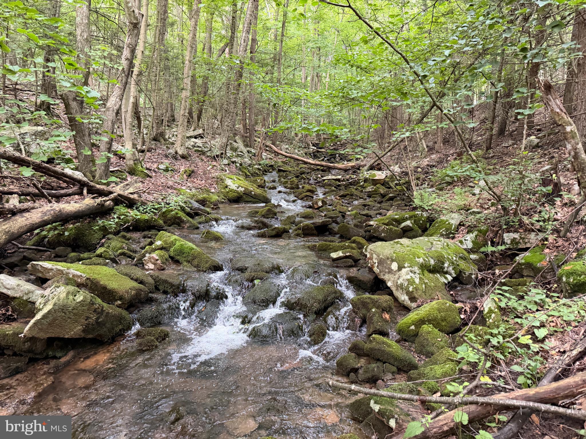 95+/- ACRES LAUREL MOUNTAIN RD
