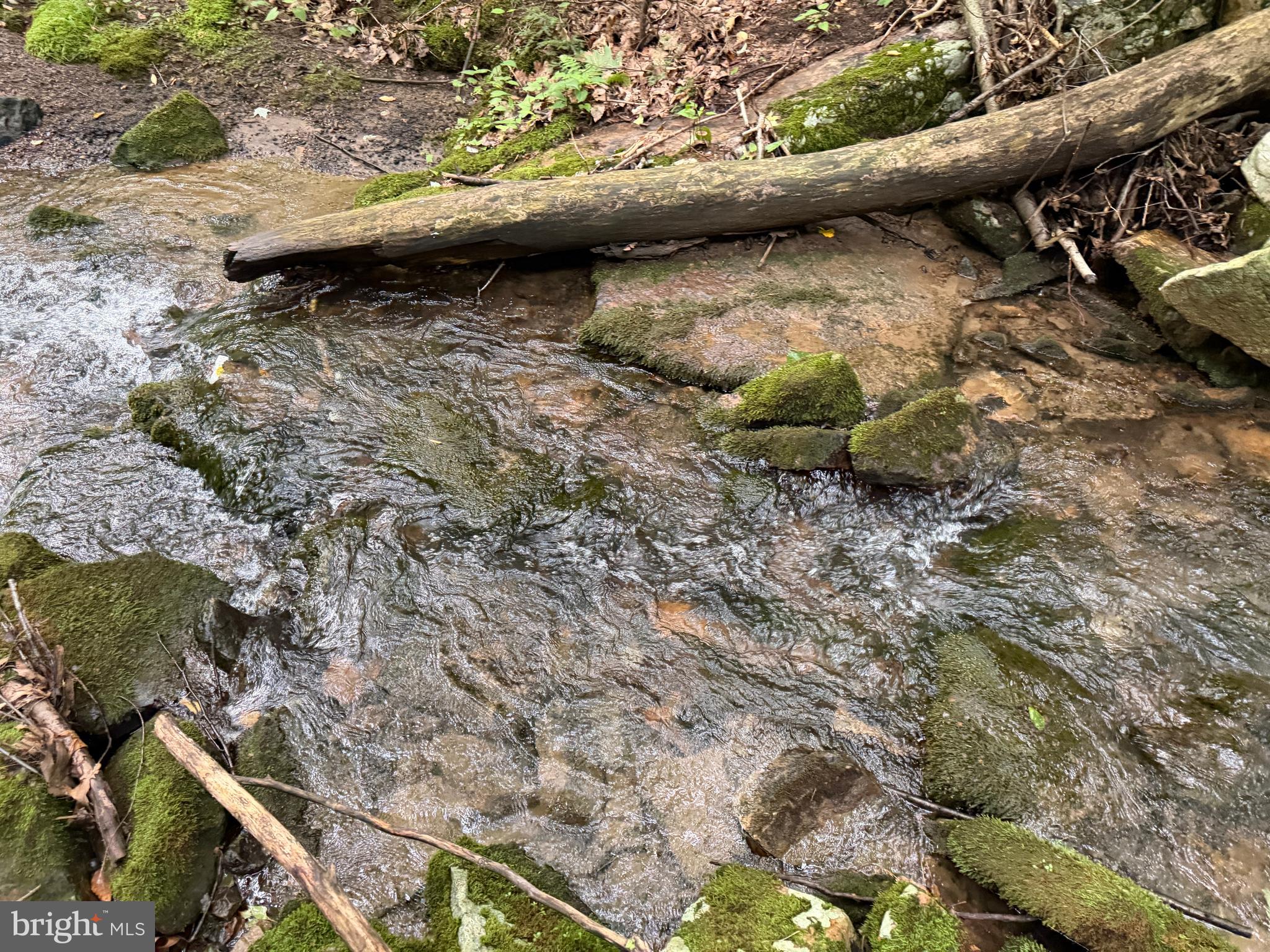 95+/- ACRES LAUREL MOUNTAIN RD