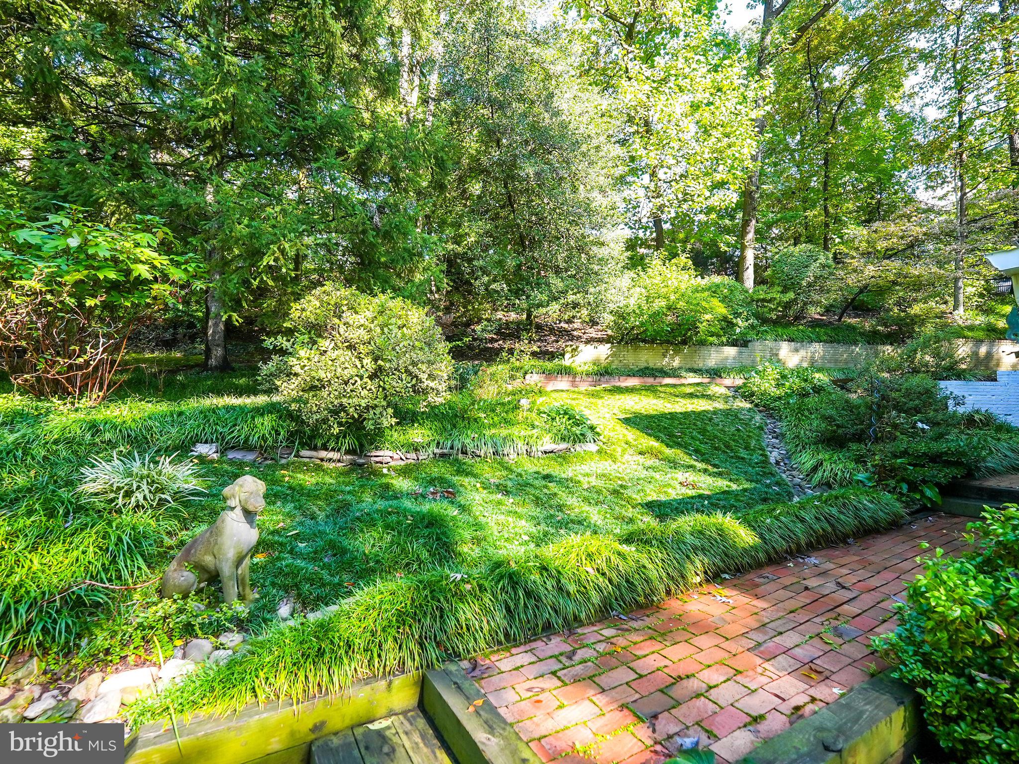 BELLEVUE FOREST - Residential