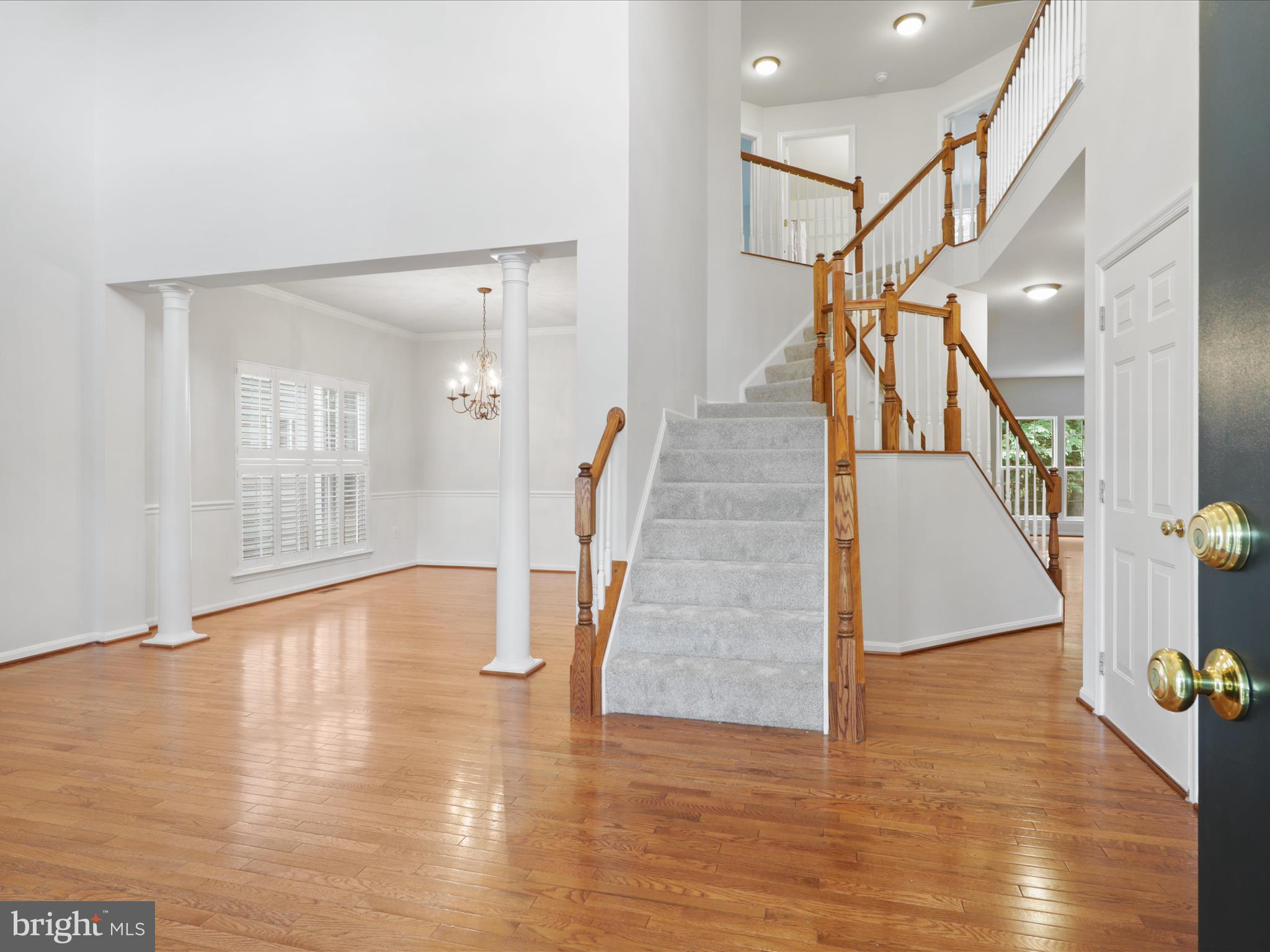 14203 MURPHY TERRACE