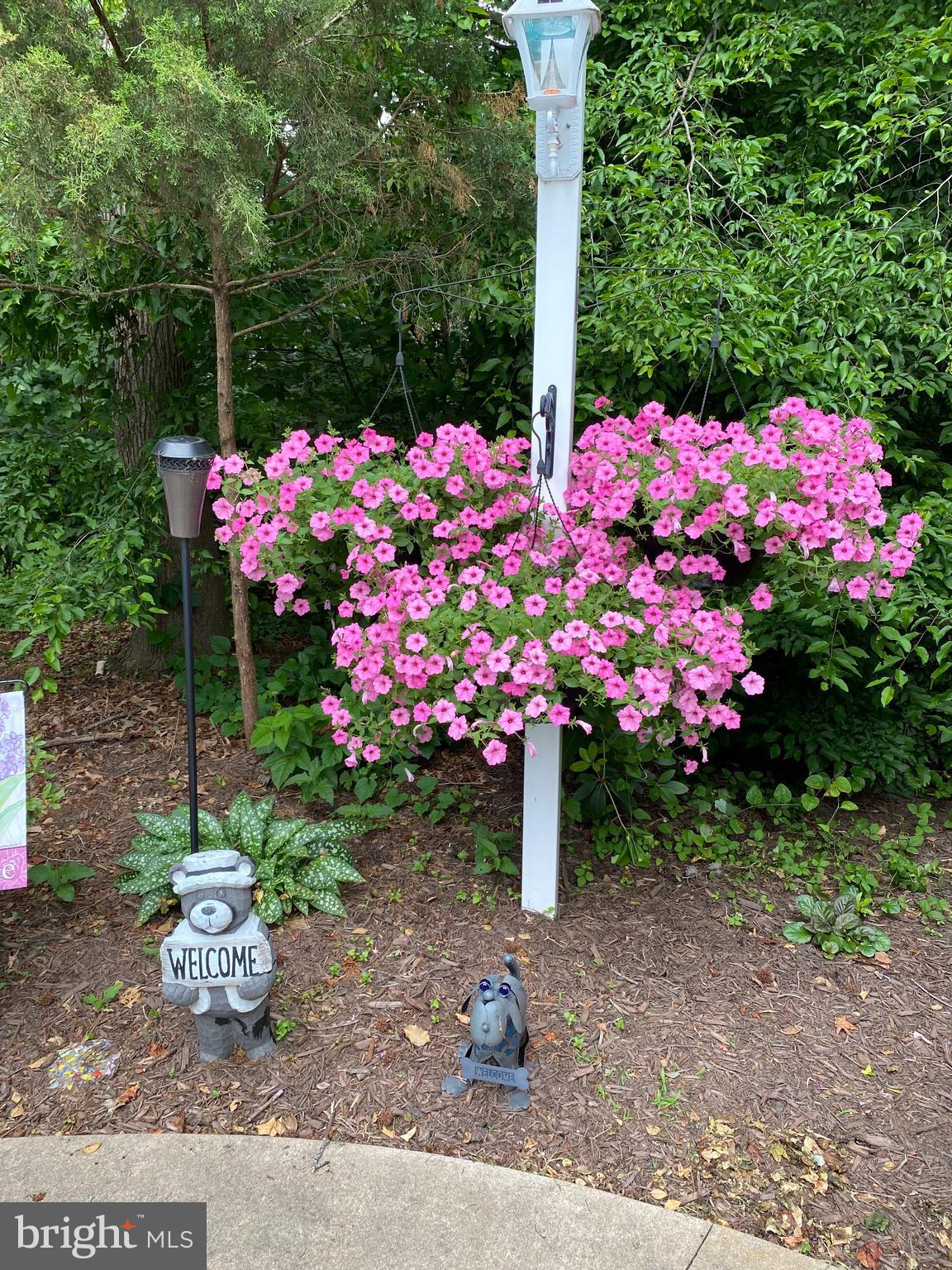 KINGSWOOD - Residential