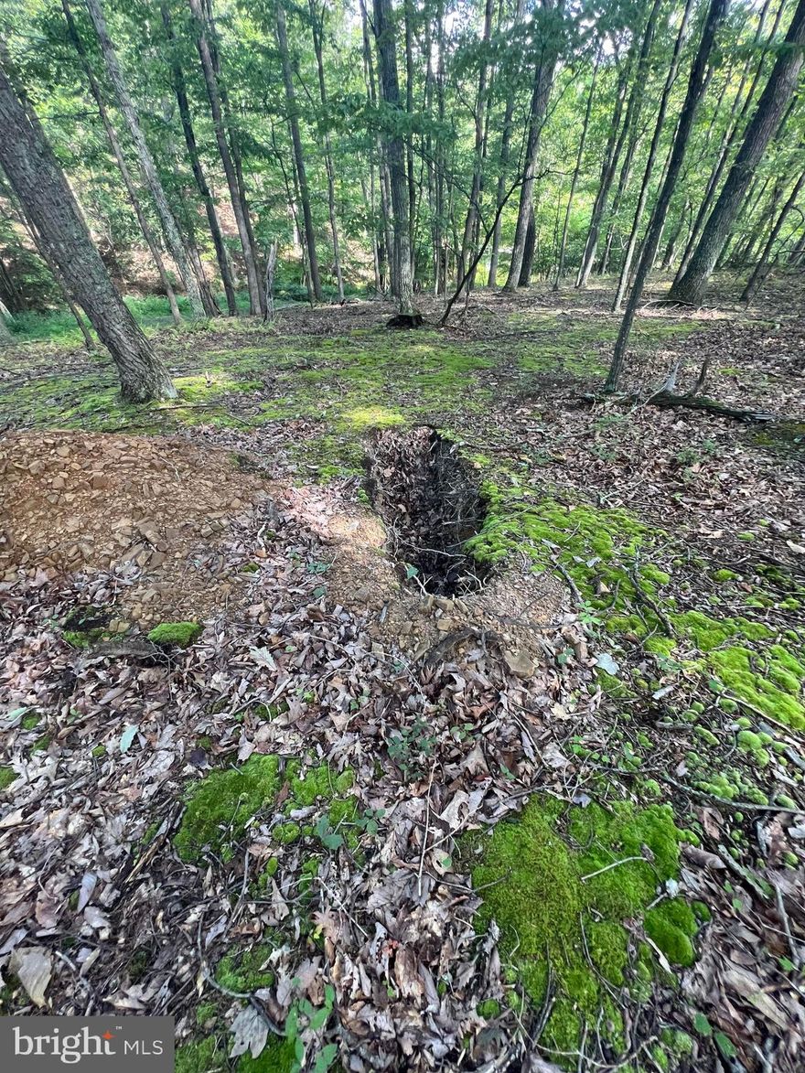 One of the last remaining lots in Sleepy Knolls and priced to sell at only $10,000 ! All lots have paved roads, underground electric , community water and are priced at a fraction of original develop's cost of $32,000 each so grab your piece of " Almost Heaven " before they are gone !