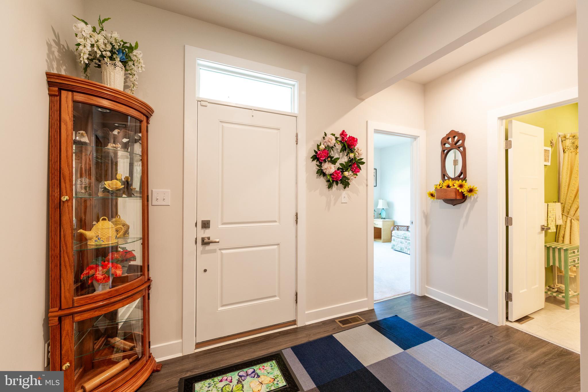 299 LETITIA MANOR DRIVE