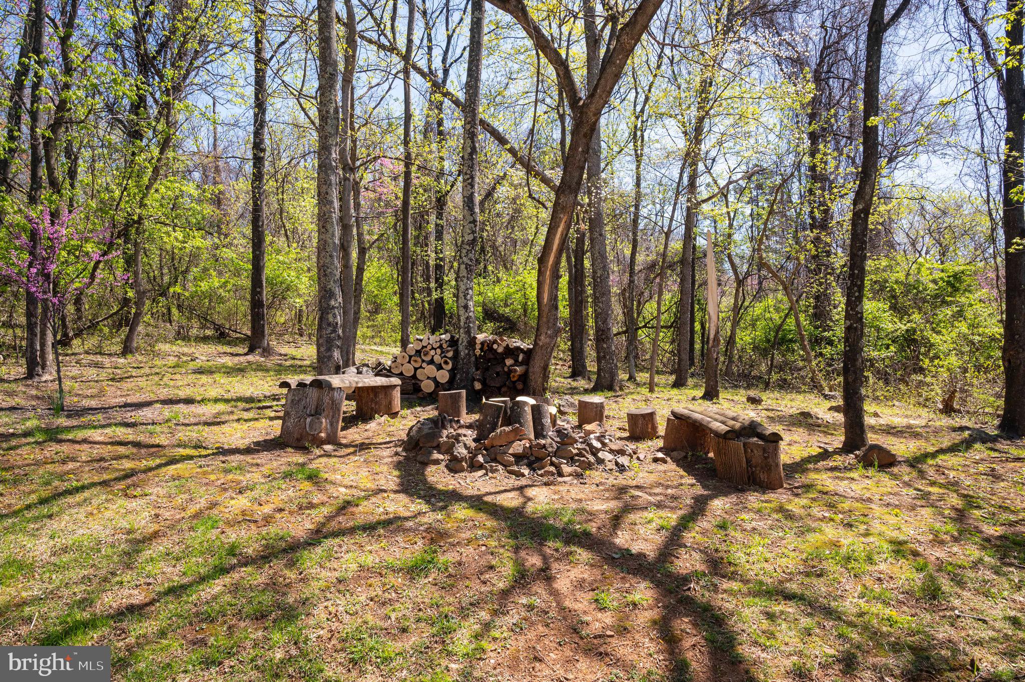 KING MASON TRACT - Residential