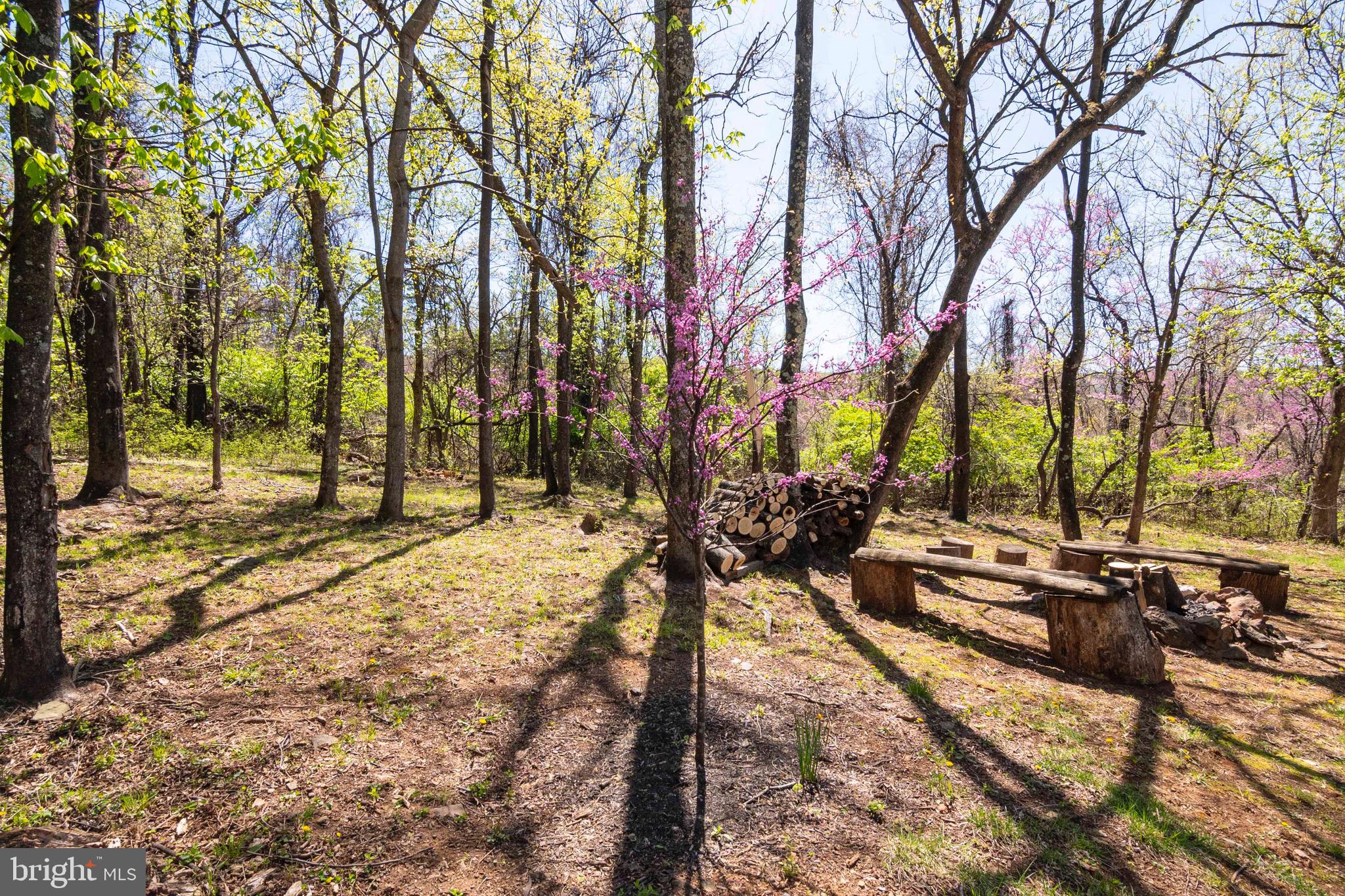 KING MASON TRACT - Residential