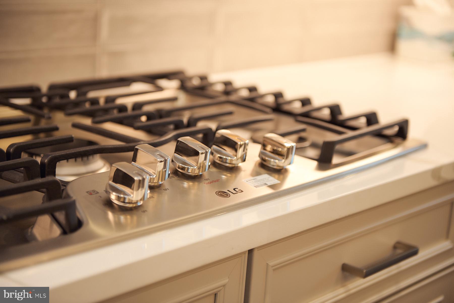 BOULEVARD VI TOWNS - Residential