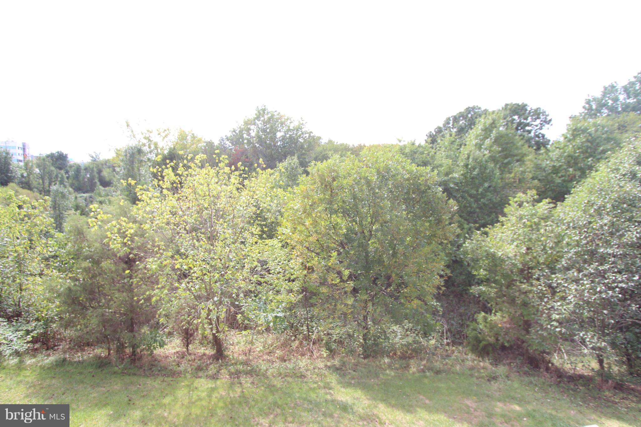 POTOMAC LAKES - Residential