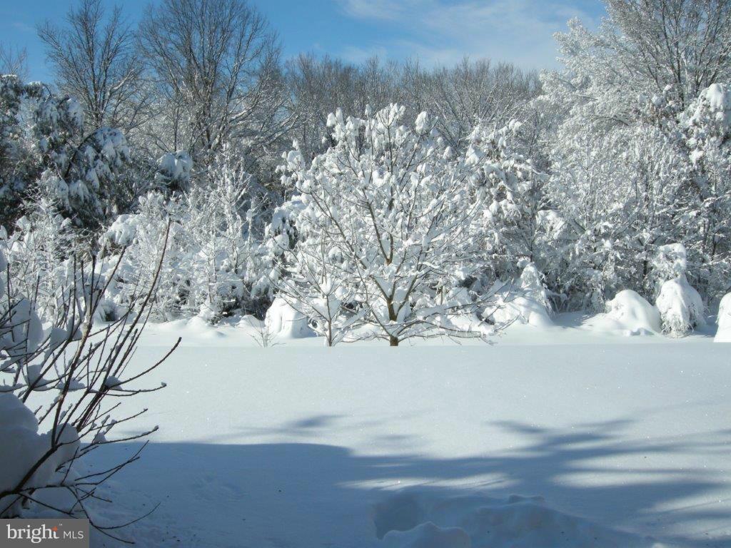 POTOMAC LAKES - Residential