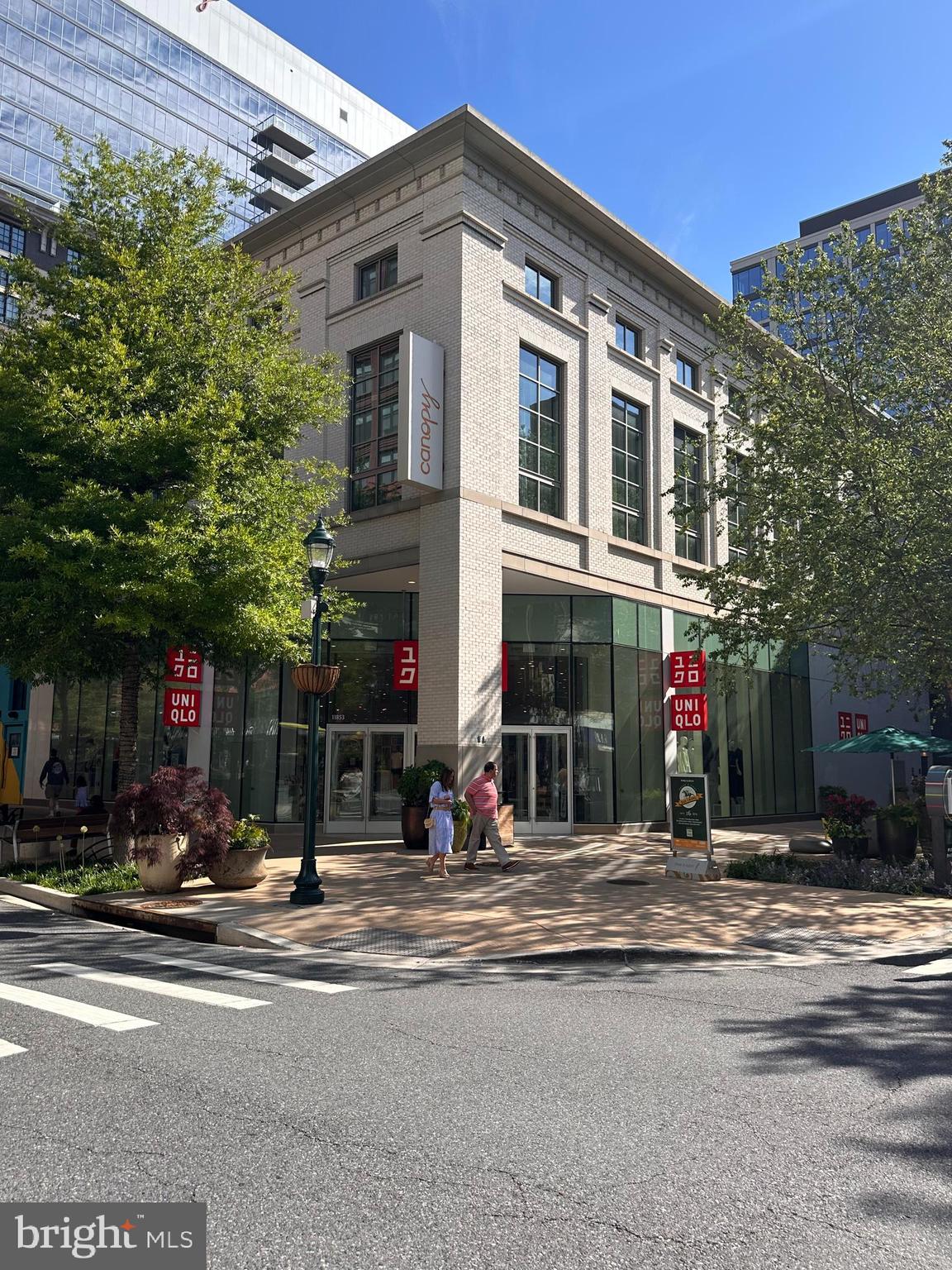 PIKE AND ROSE - Residential
