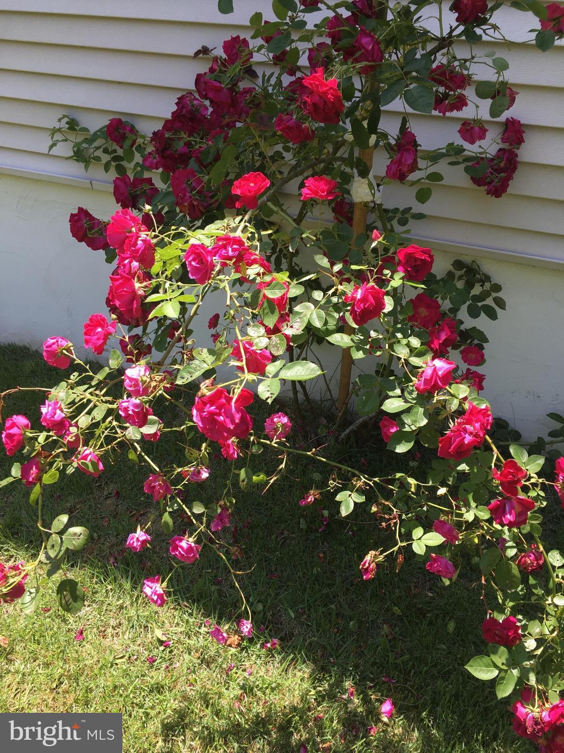 WINDBROOK - Residential