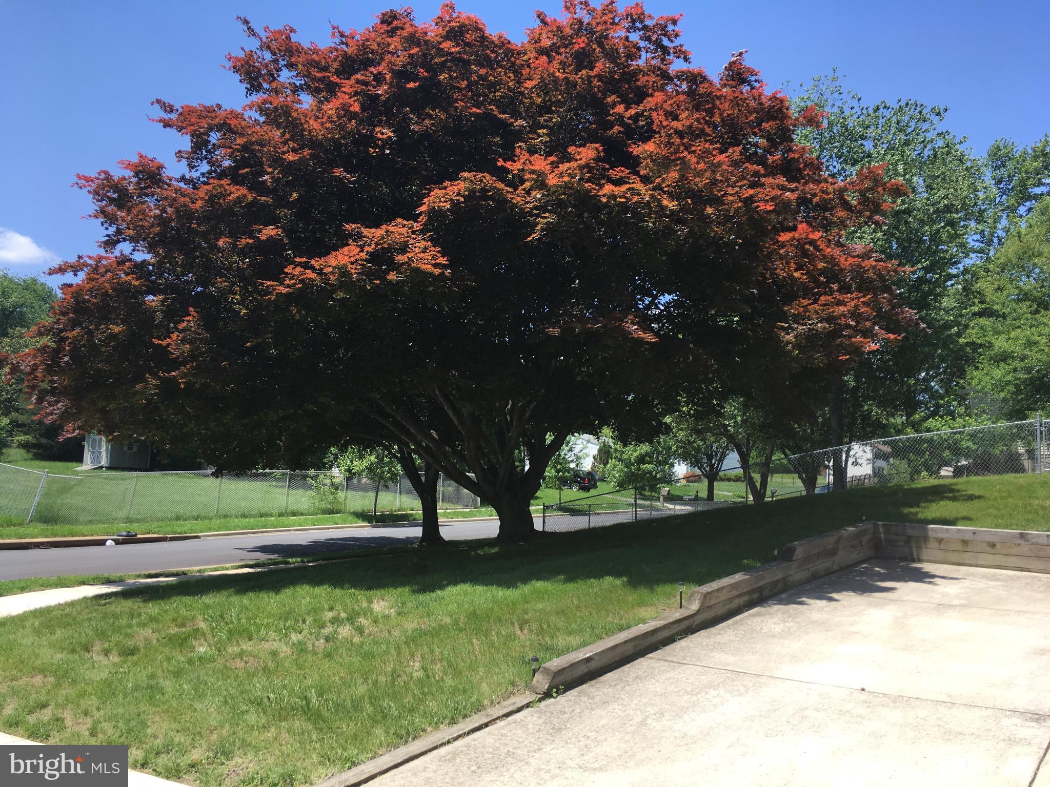 WINDBROOK - Residential