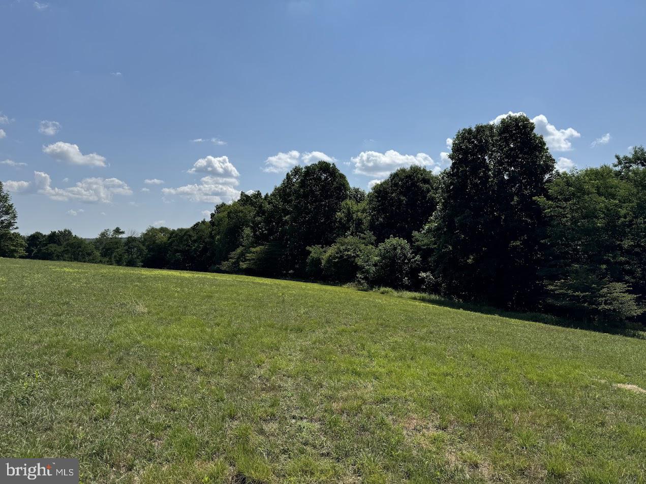 BACKBONE MOUNTAIN - Farm