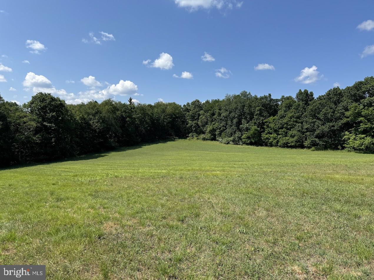 BACKBONE MOUNTAIN - Farm