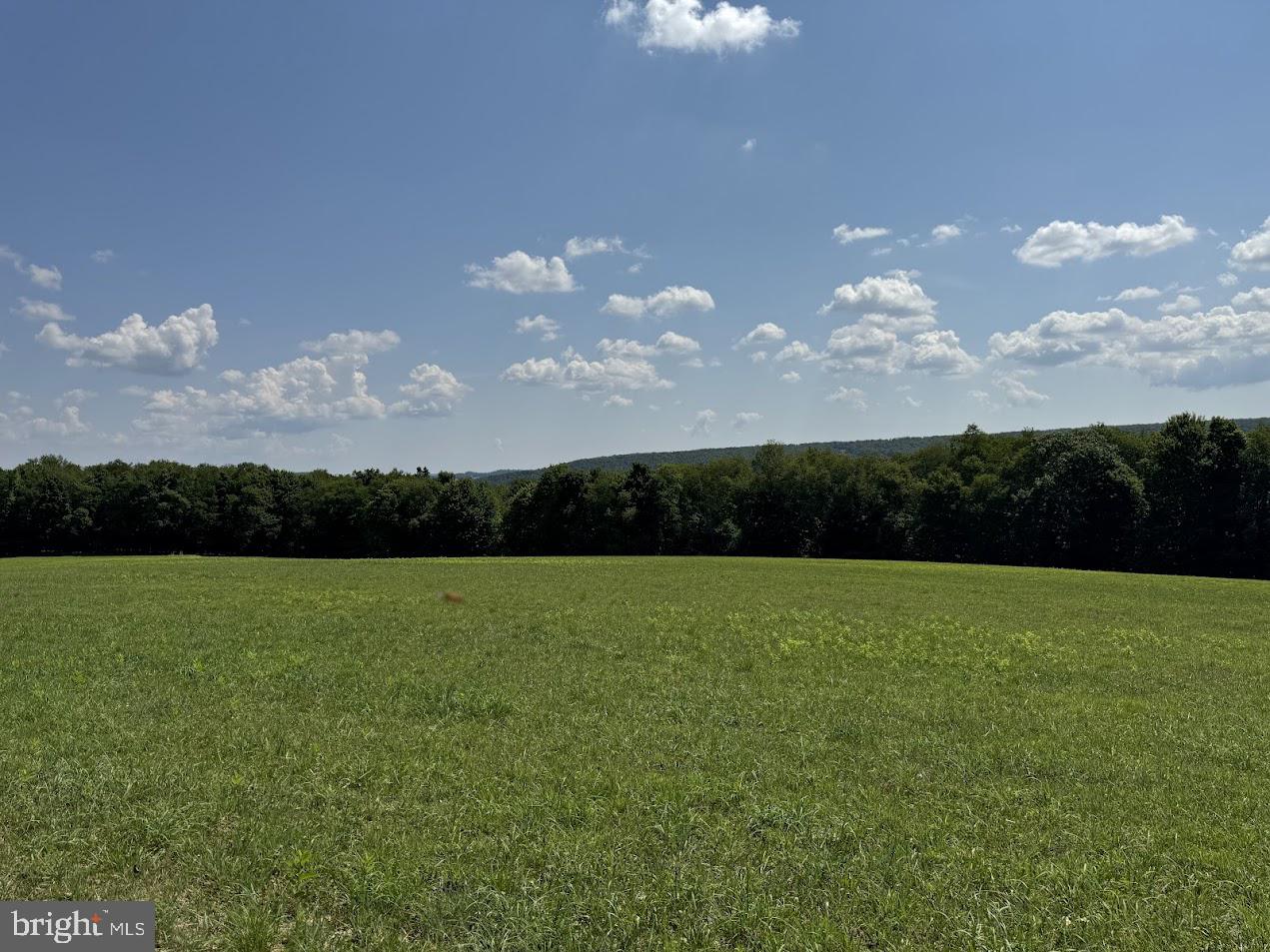 BACKBONE MOUNTAIN - Farm